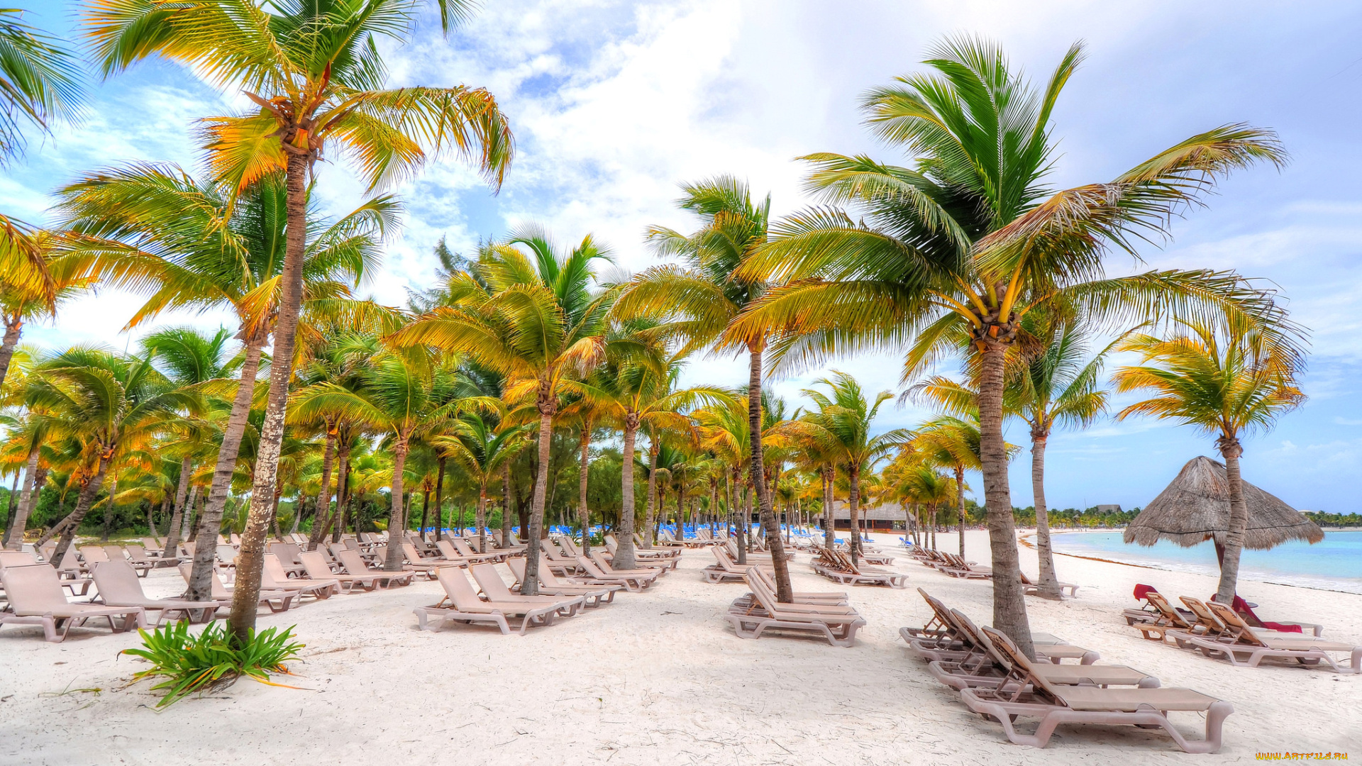 природа, тропики, пальмы, осень, пляж, песок, лежак