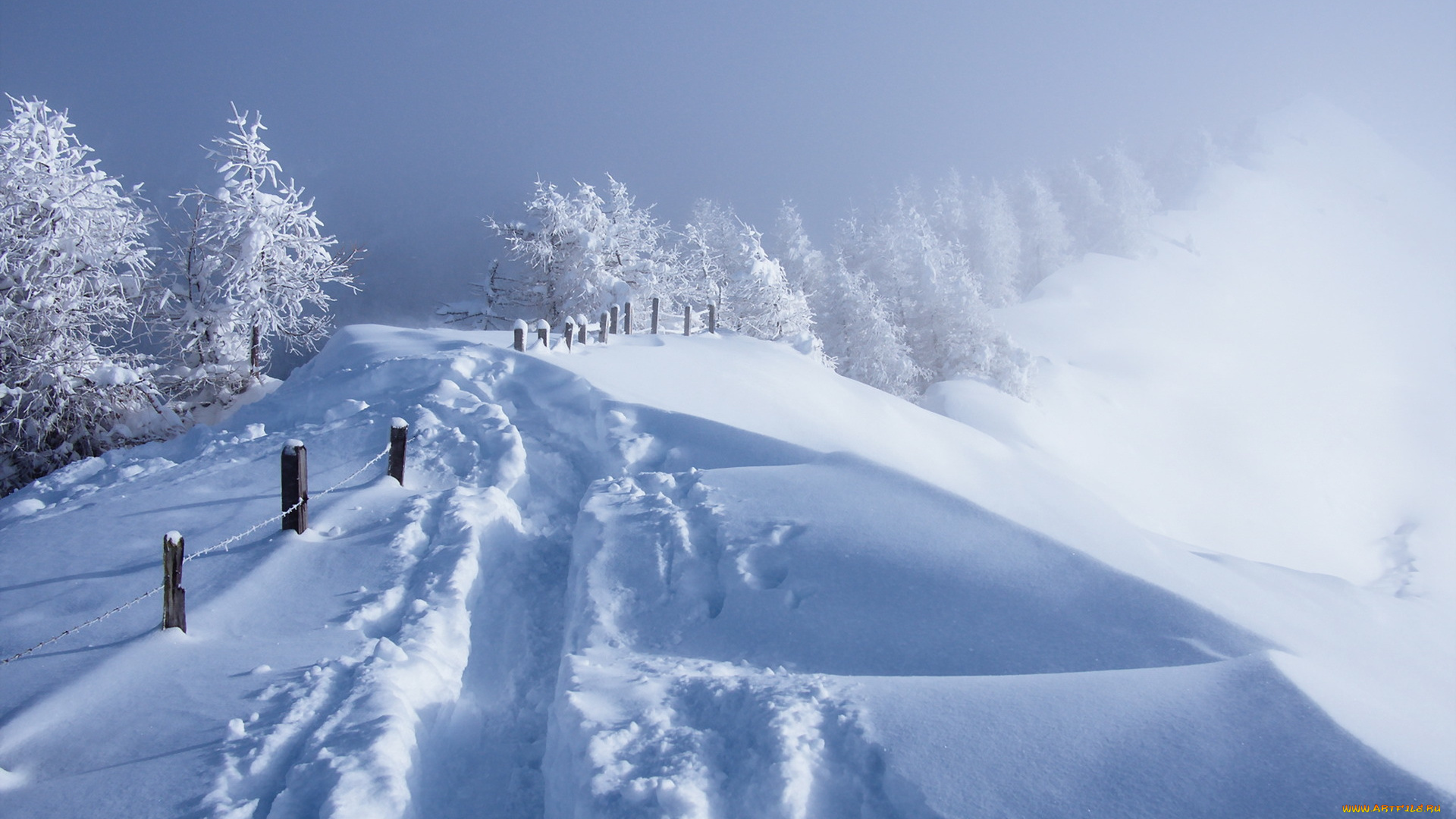 природа, зима, туман, забор, снег