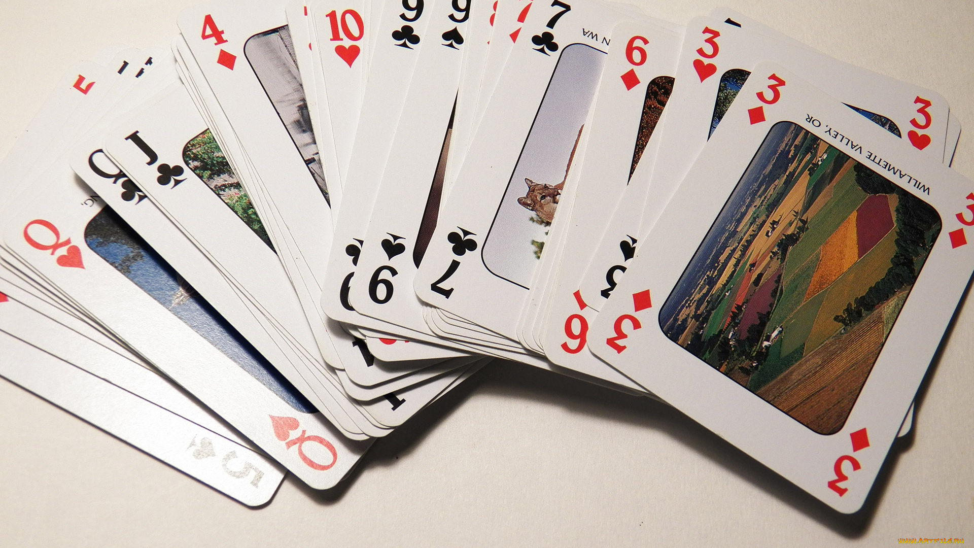 разное, настольные, игры, , азартные, игры, карты