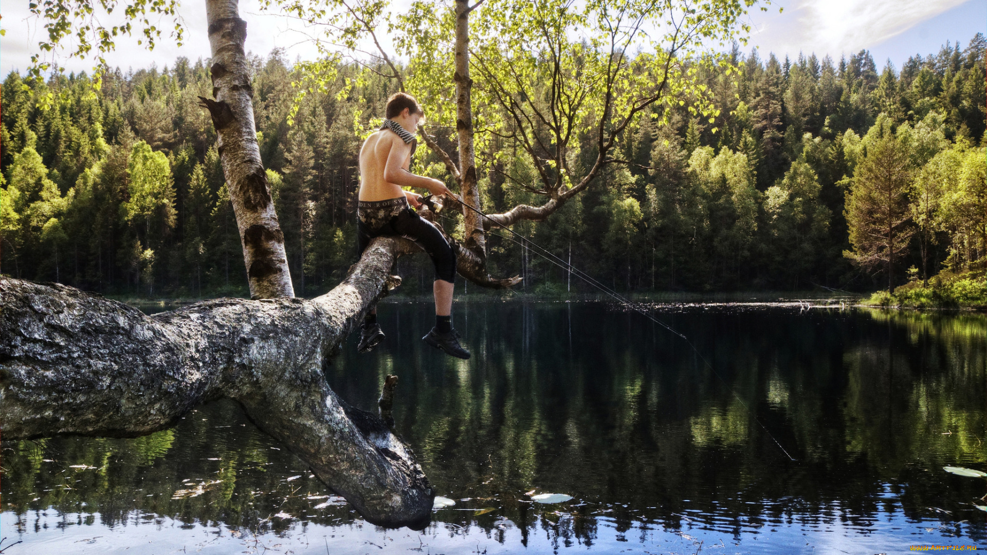 разное, рыбалка, , рыбаки, , улов, , снасти, солнечно, ели, лес, озеро, дерево, удочка, рыбак