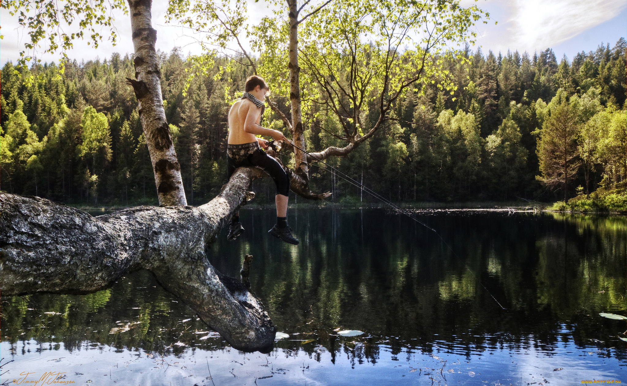 разное, рыбалка, , рыбаки, , улов, , снасти, солнечно, ели, лес, озеро, дерево, удочка, рыбак