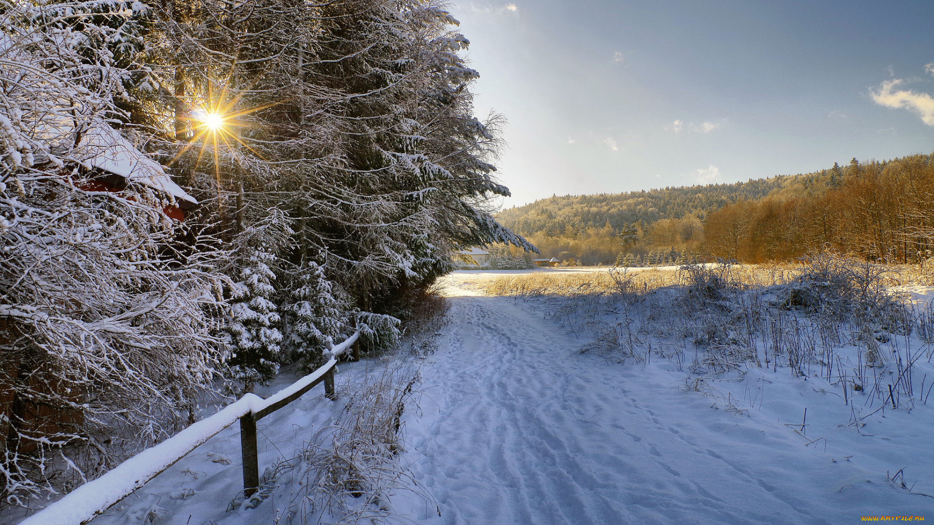 природа, зима, лес, снег