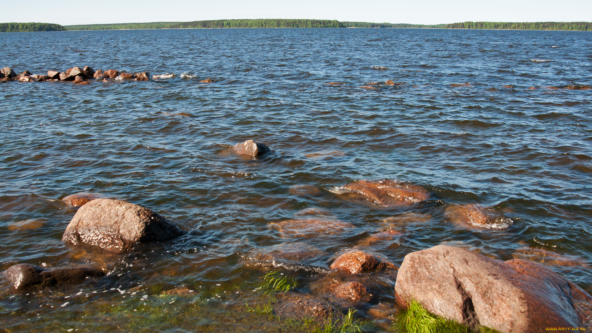 залив, природа, побережье, балтийское, море