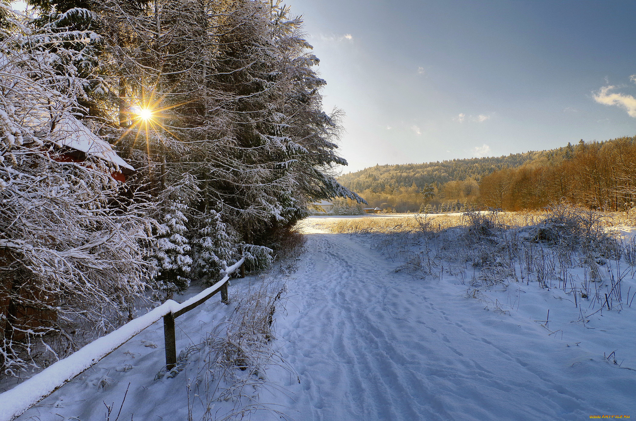 природа, зима, лес, снег