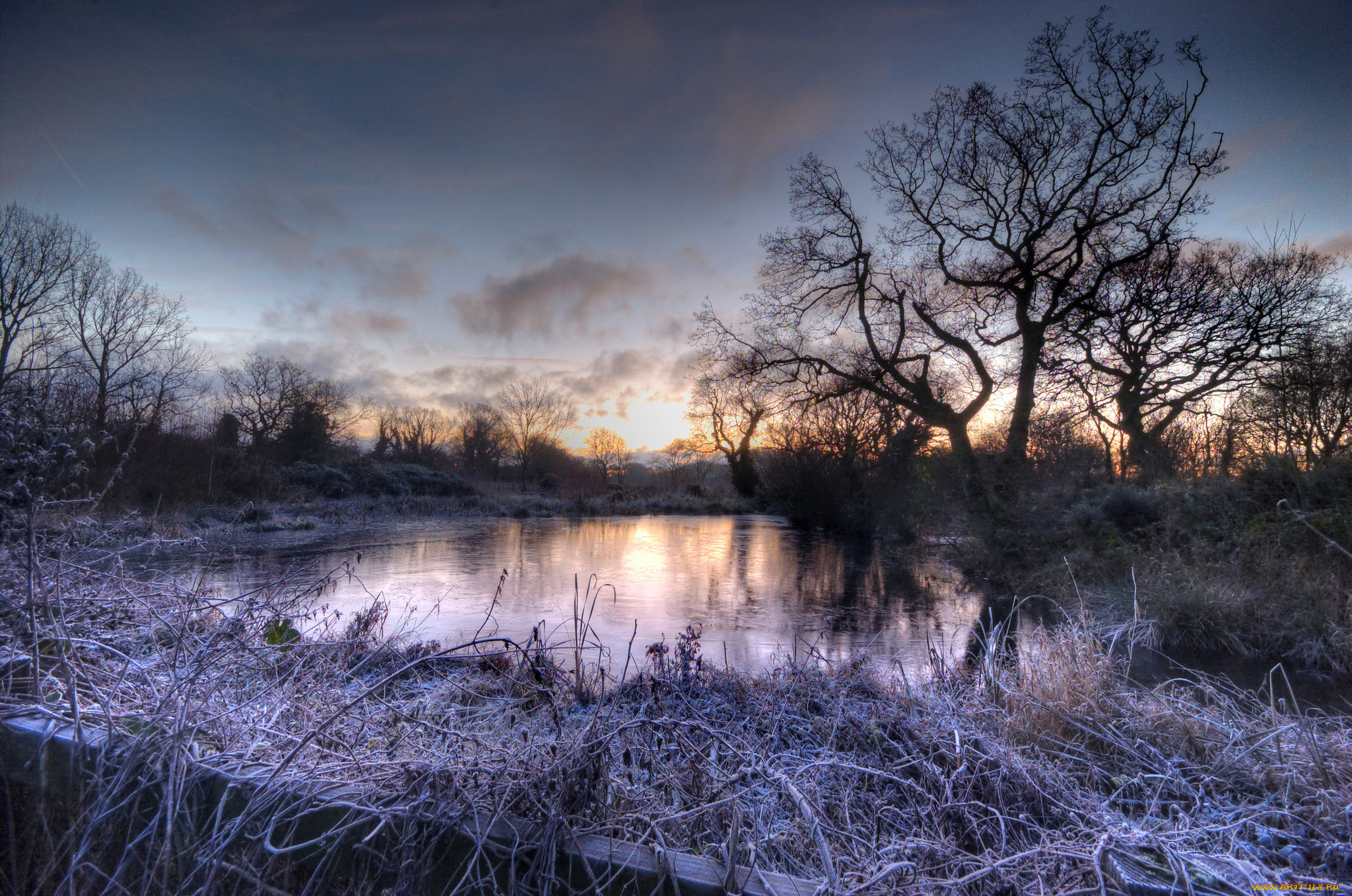природа, зима, лес, снег