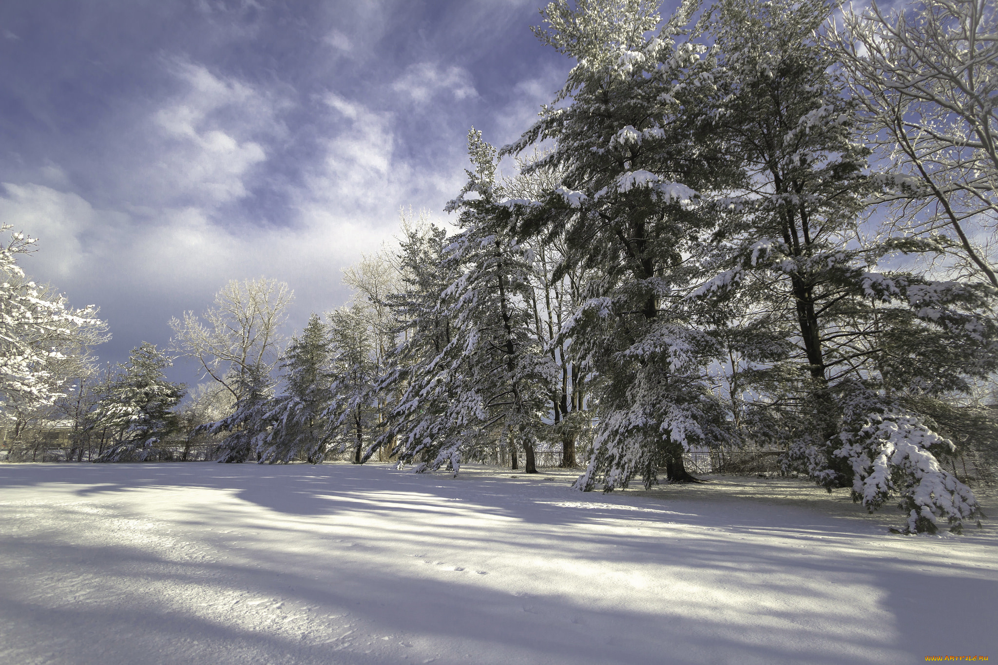 природа, зима, лес, снег