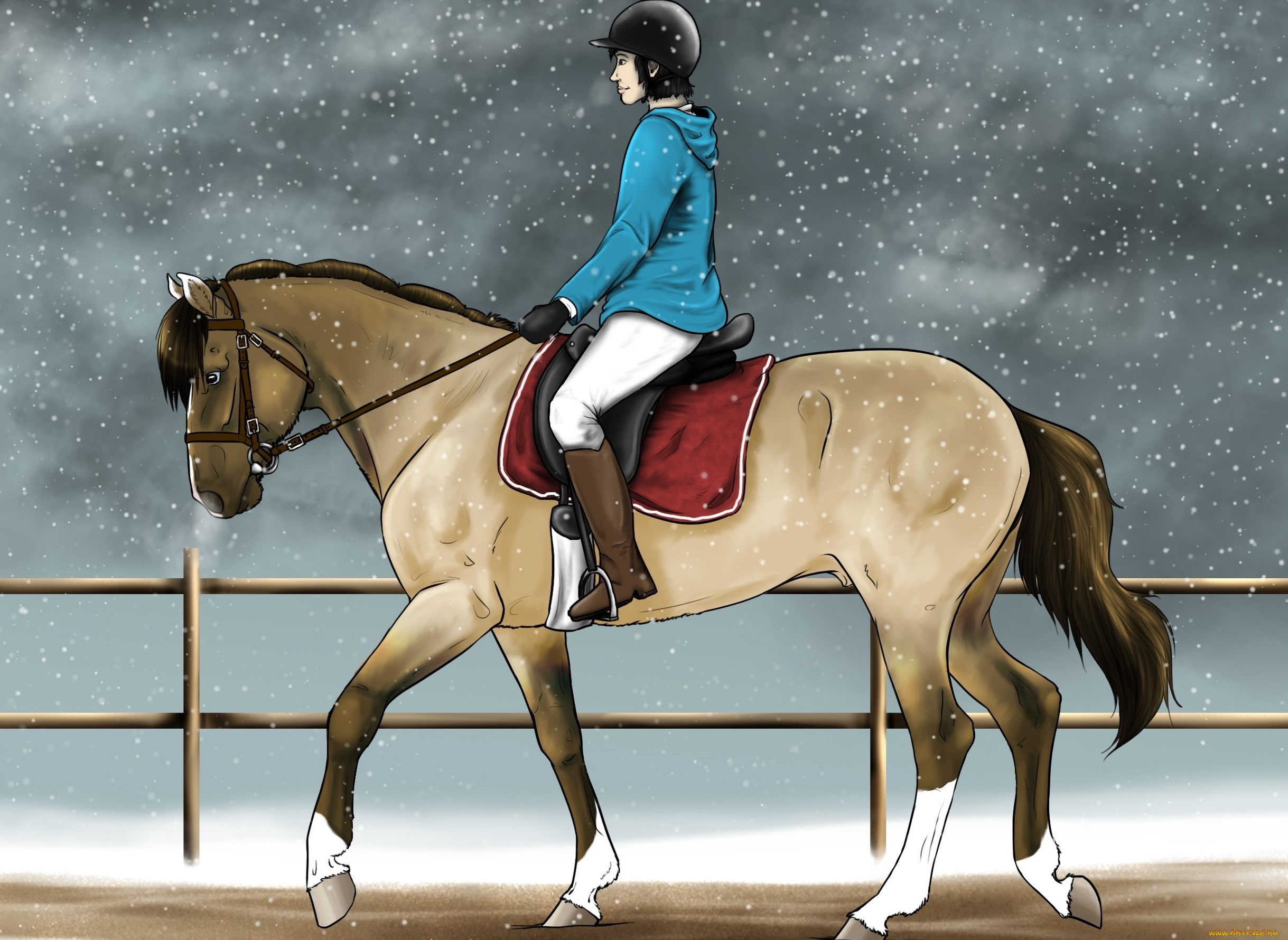 рисованное, животные, , лошади, всадник, лошадь