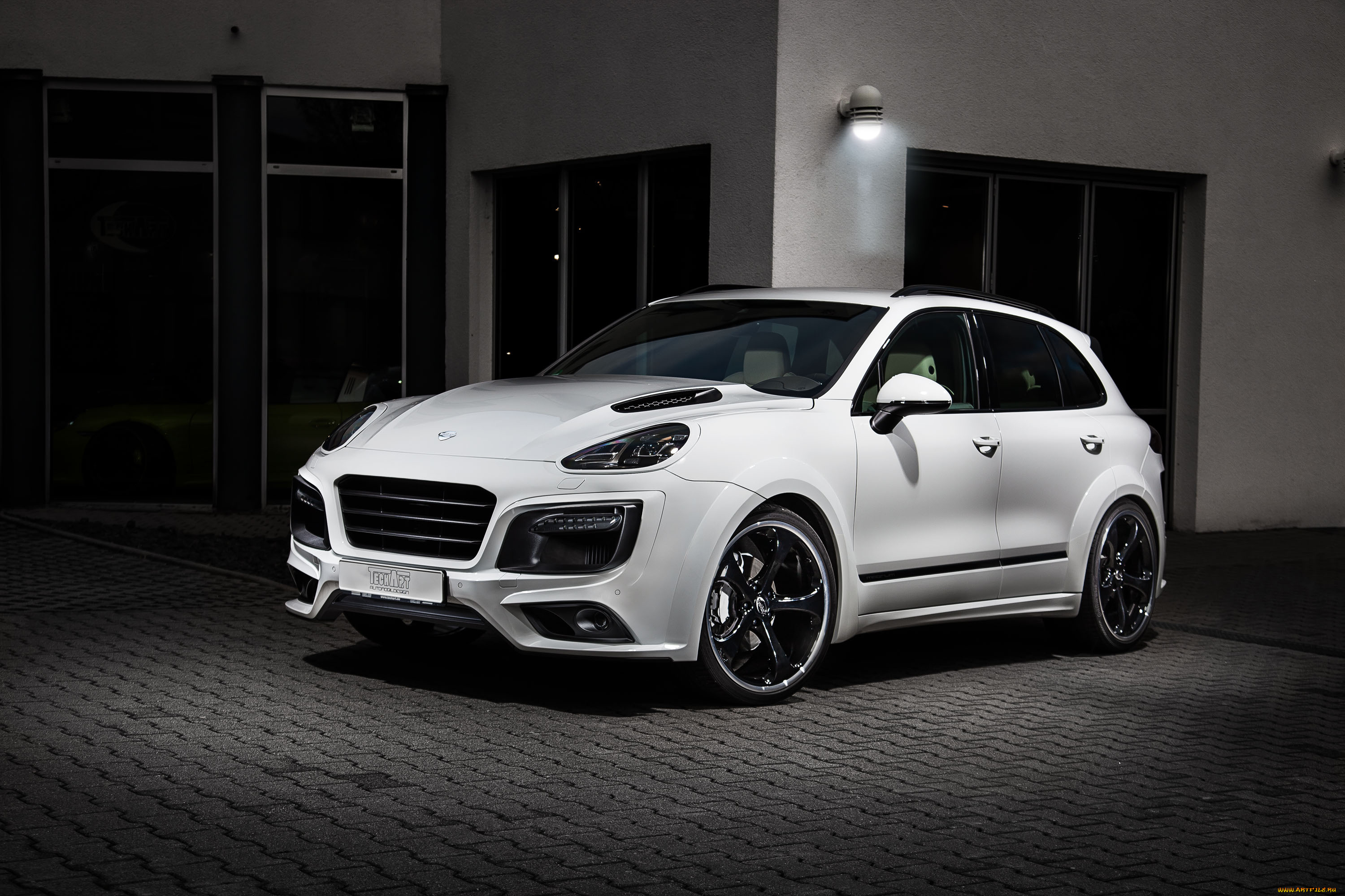 автомобили, porsche, 2015г, 958, magnum, techart