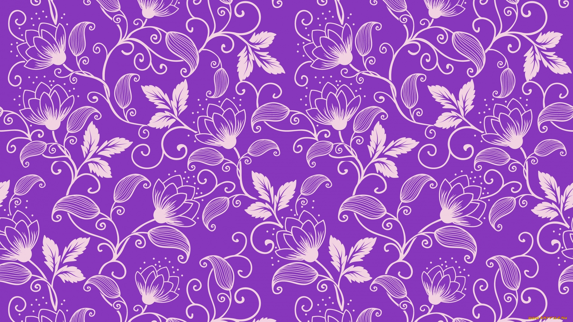 векторная, графика, цветы, , flowers, цветы, фон