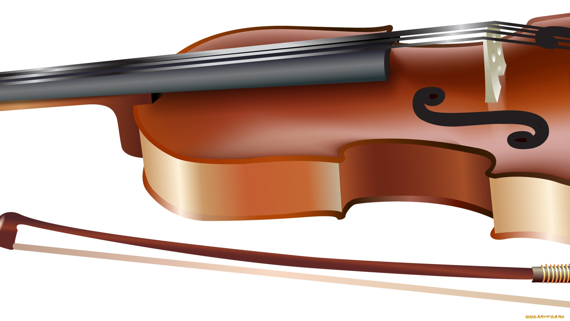 векторная, графика, другое, , other, скрипка