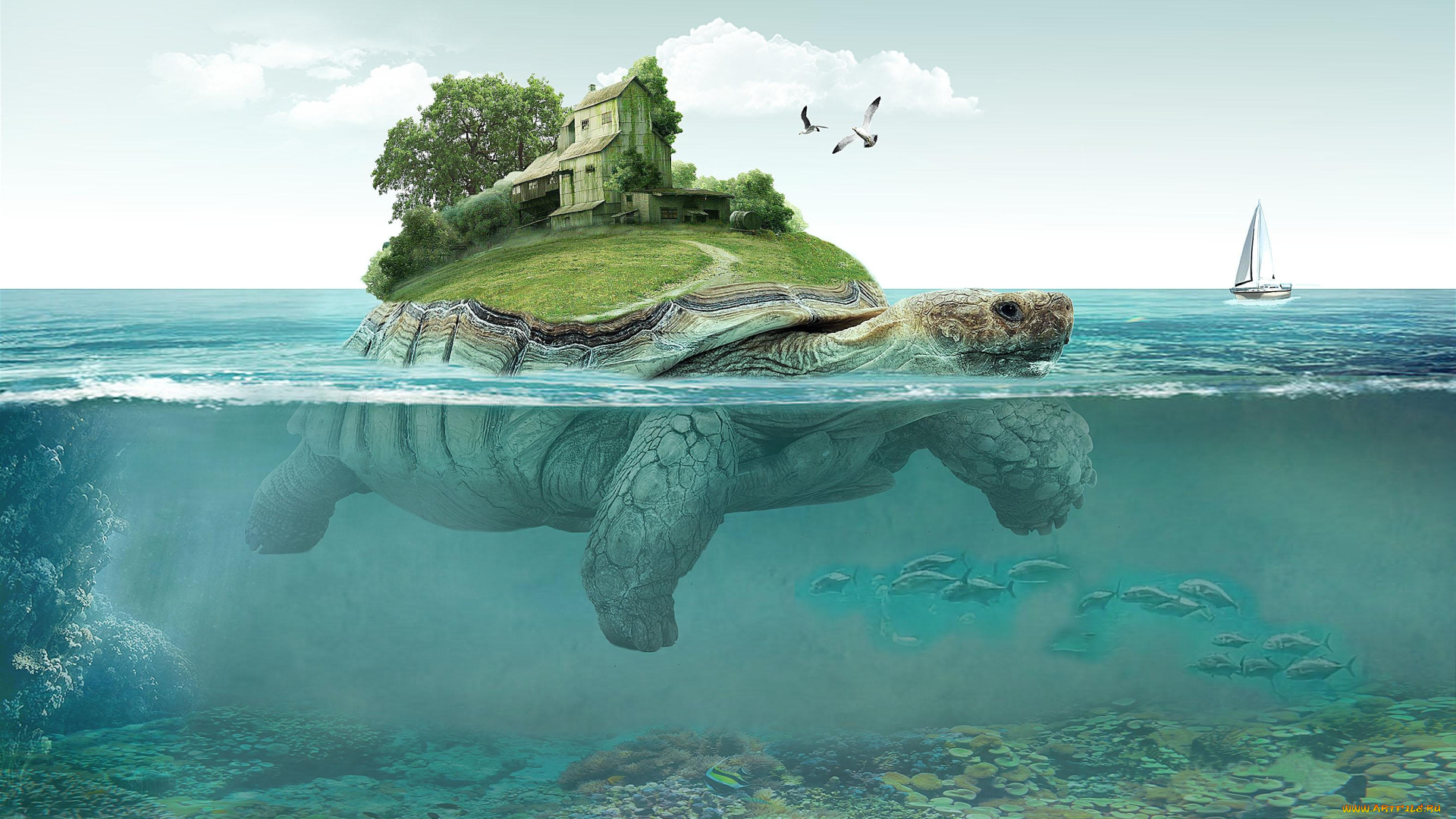 фэнтези, фотоарт, черепаха, монстр, вода, огромная, дом, остров, море, океан, оазис, плывёт