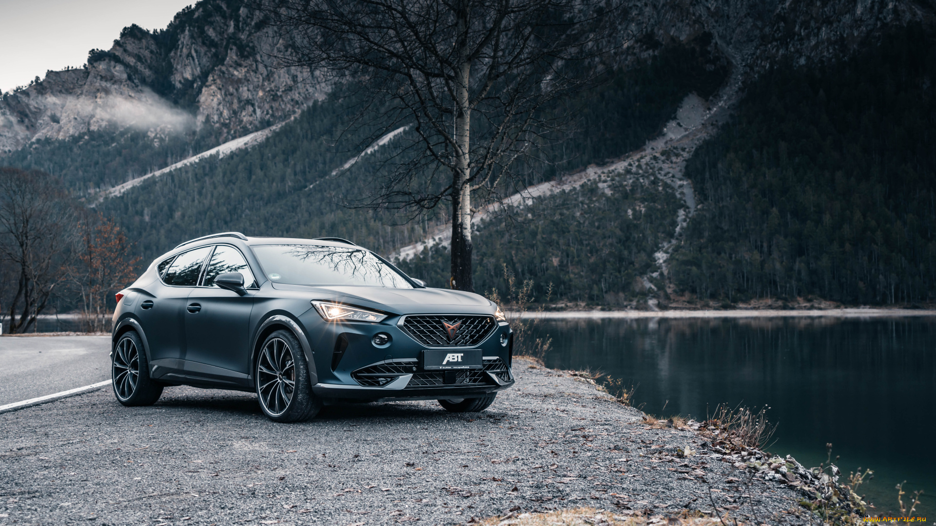 автомобили, cupra