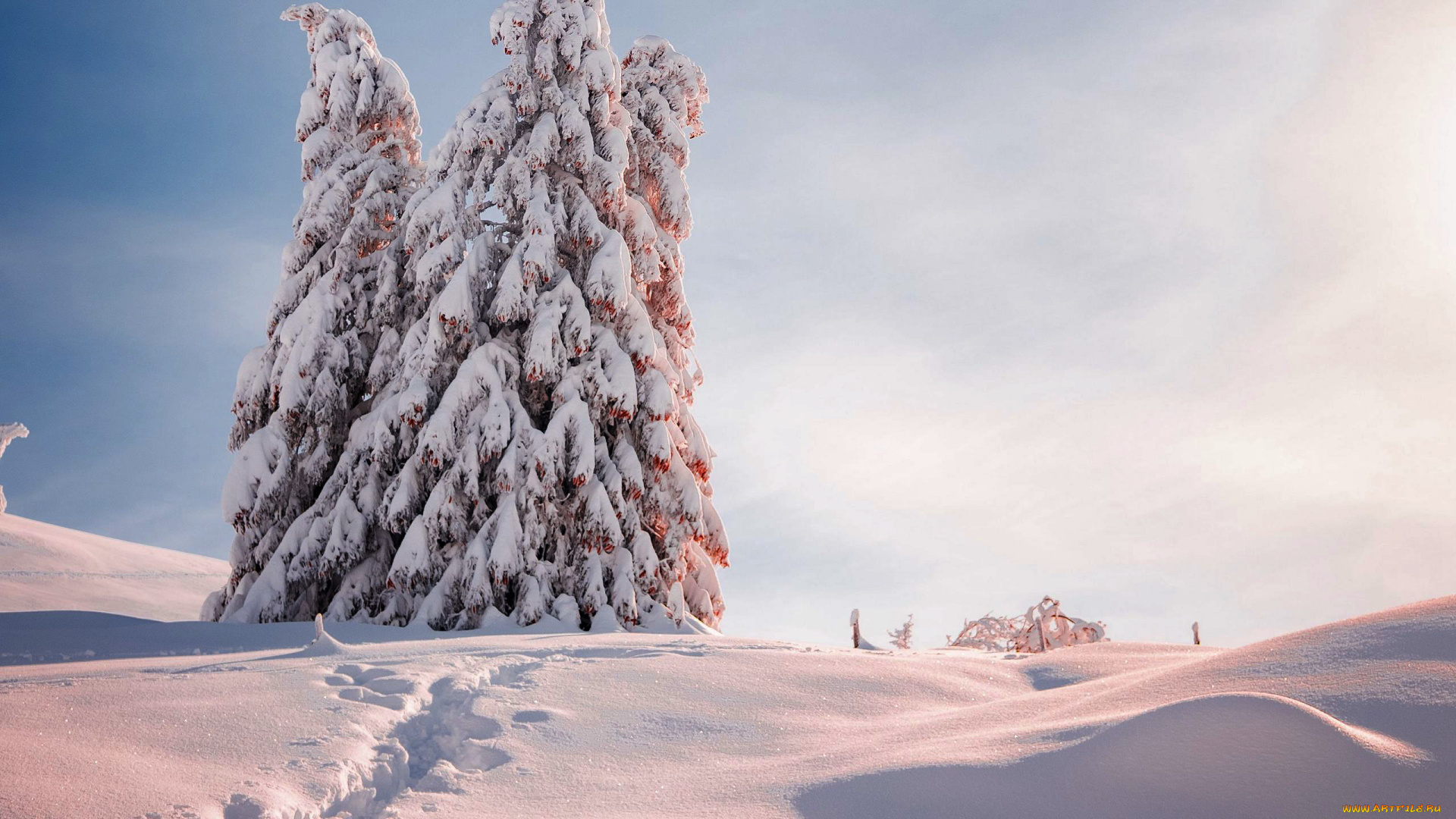 природа, зима, снег, сугробы