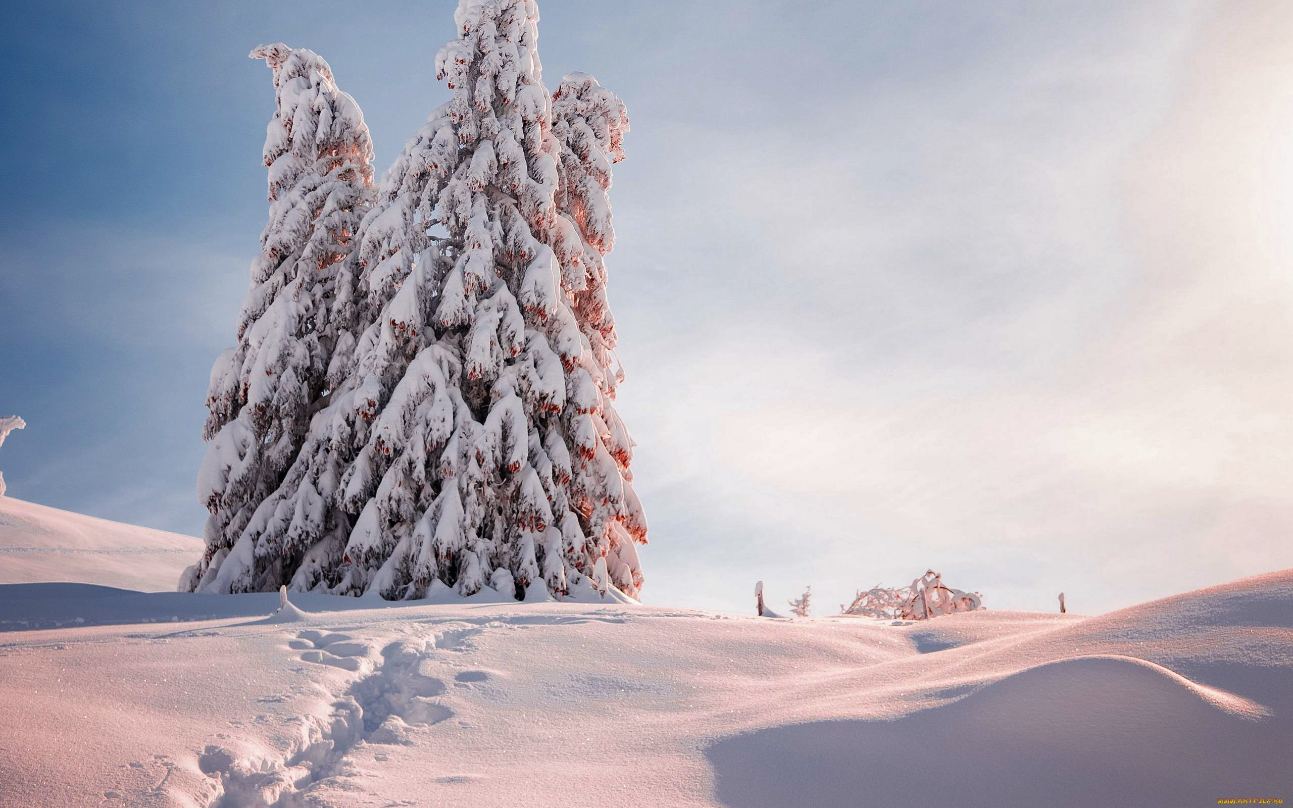 природа, зима, снег, сугробы