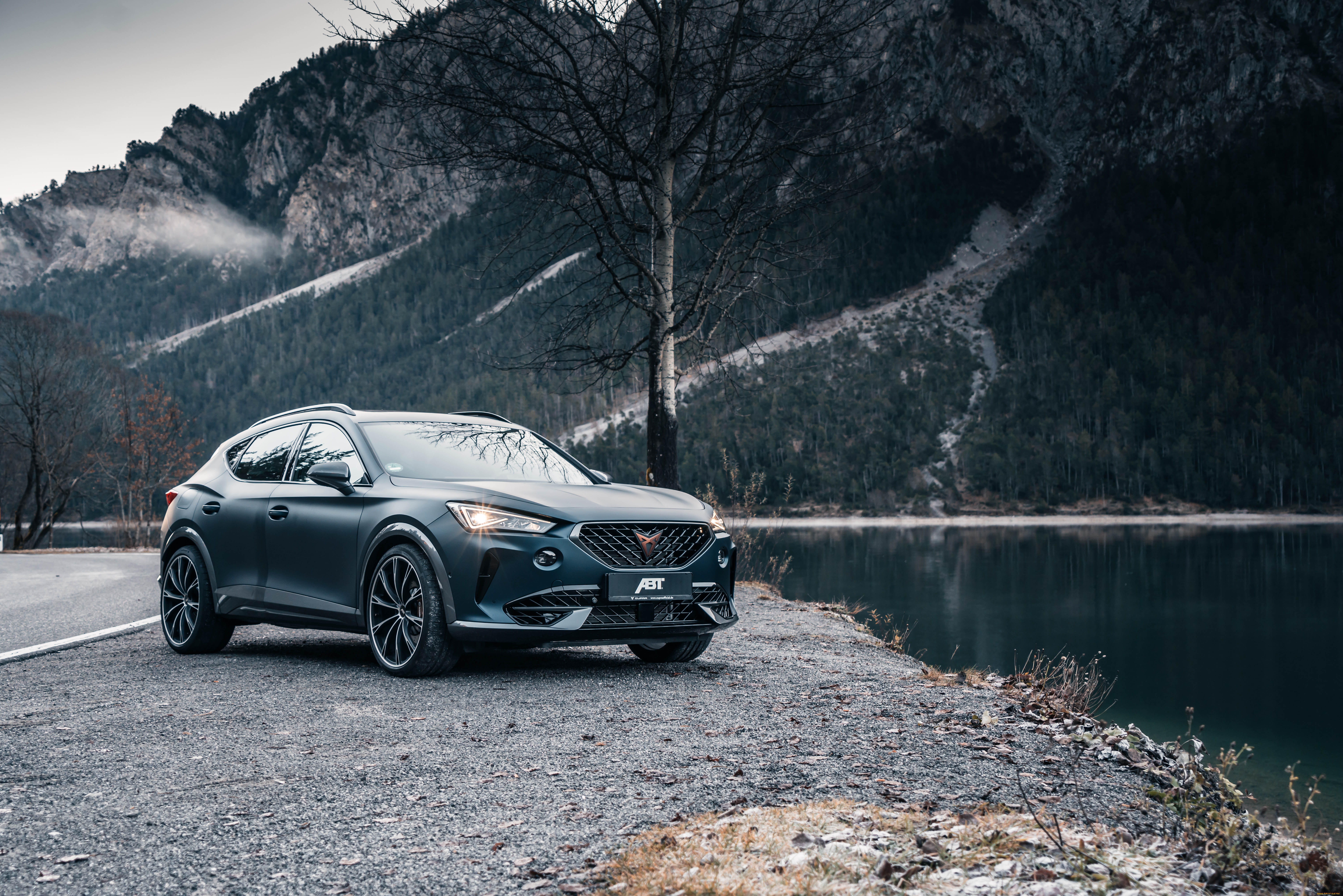 автомобили, cupra