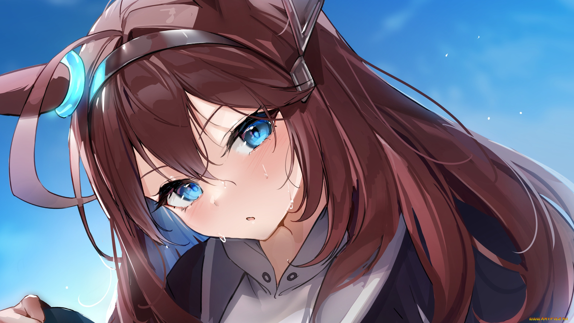 аниме, uma, musume, , pretty, derby, uma, musume, pretty, derby