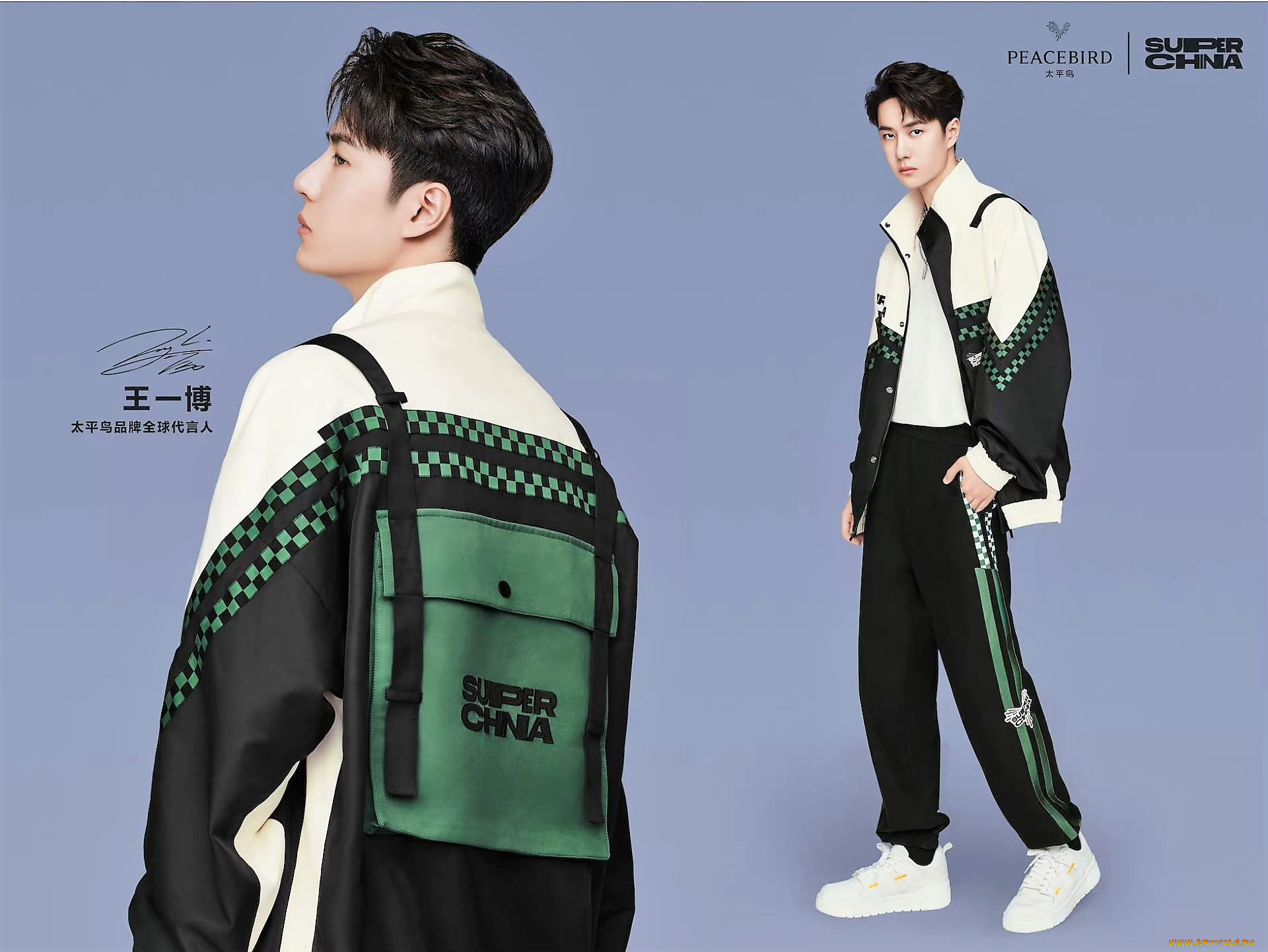 мужчины, wang, yi, bo, актер, певец, спортивный, костюм