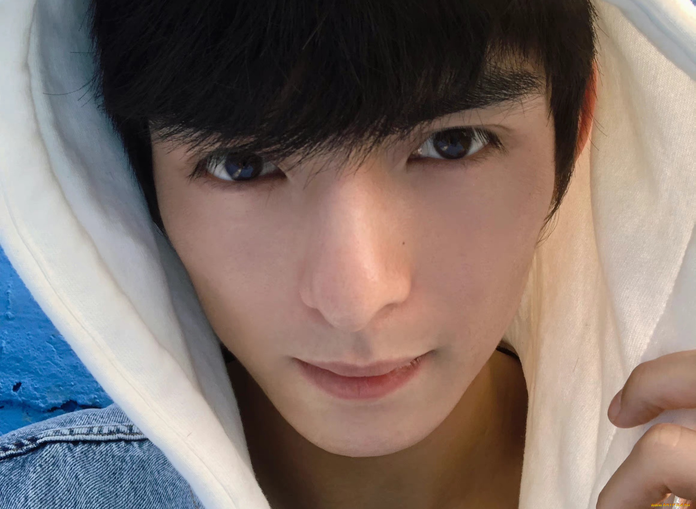 мужчины, wang, hao, xuan, ван, хао, сюань