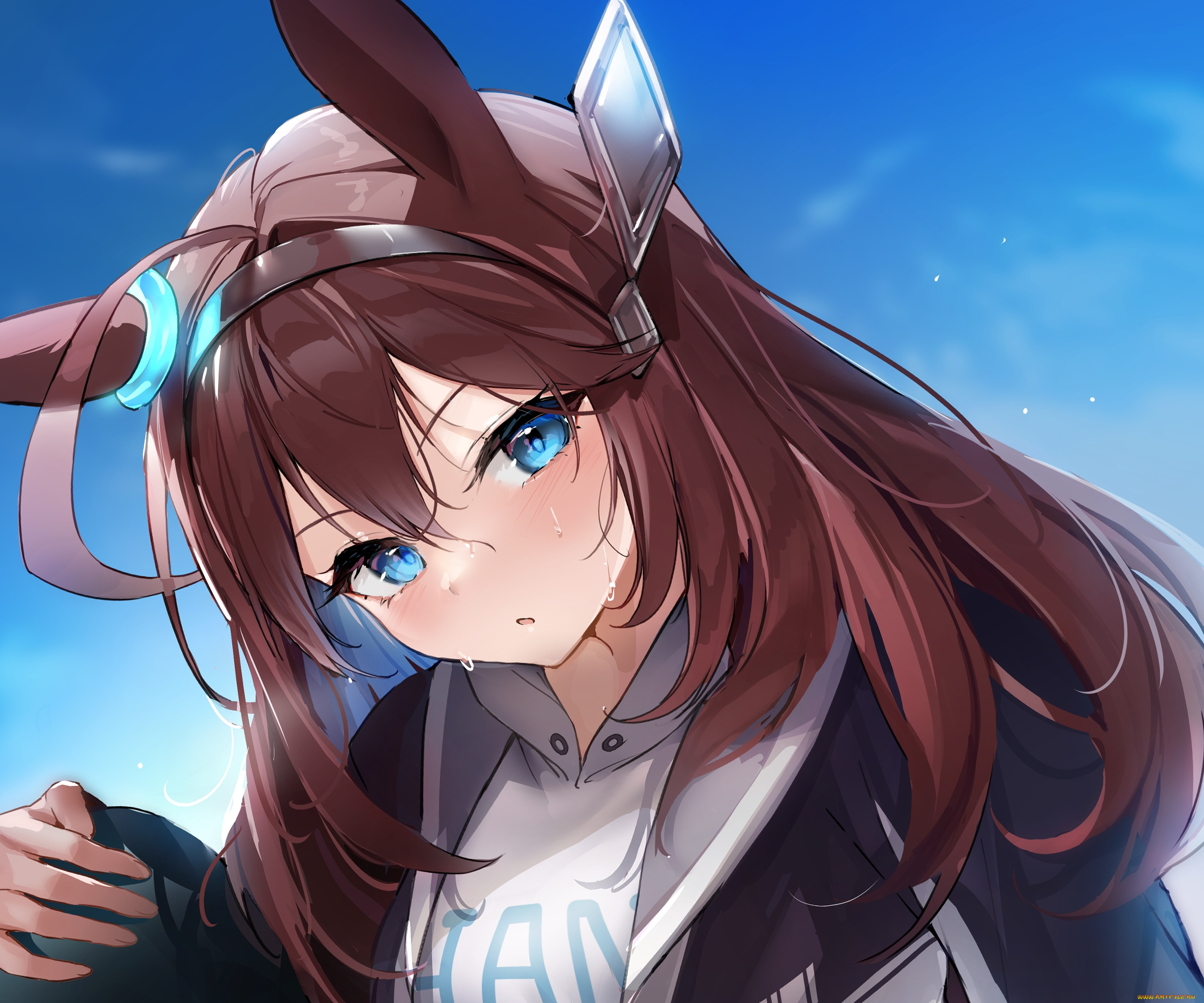 аниме, uma, musume, , pretty, derby, uma, musume, pretty, derby