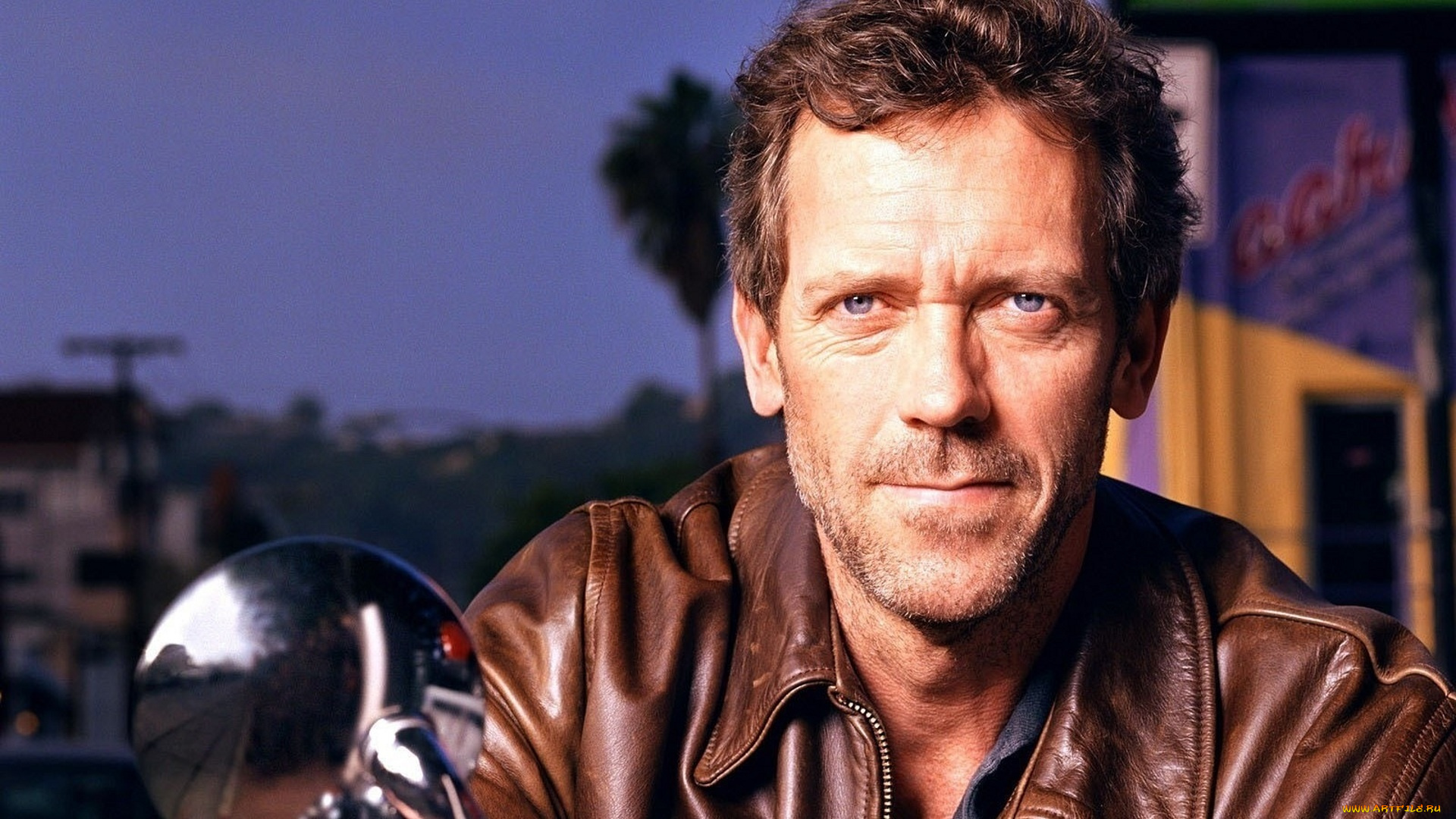 мужчины, hugh, laurie, актер, лицо, куртка, город