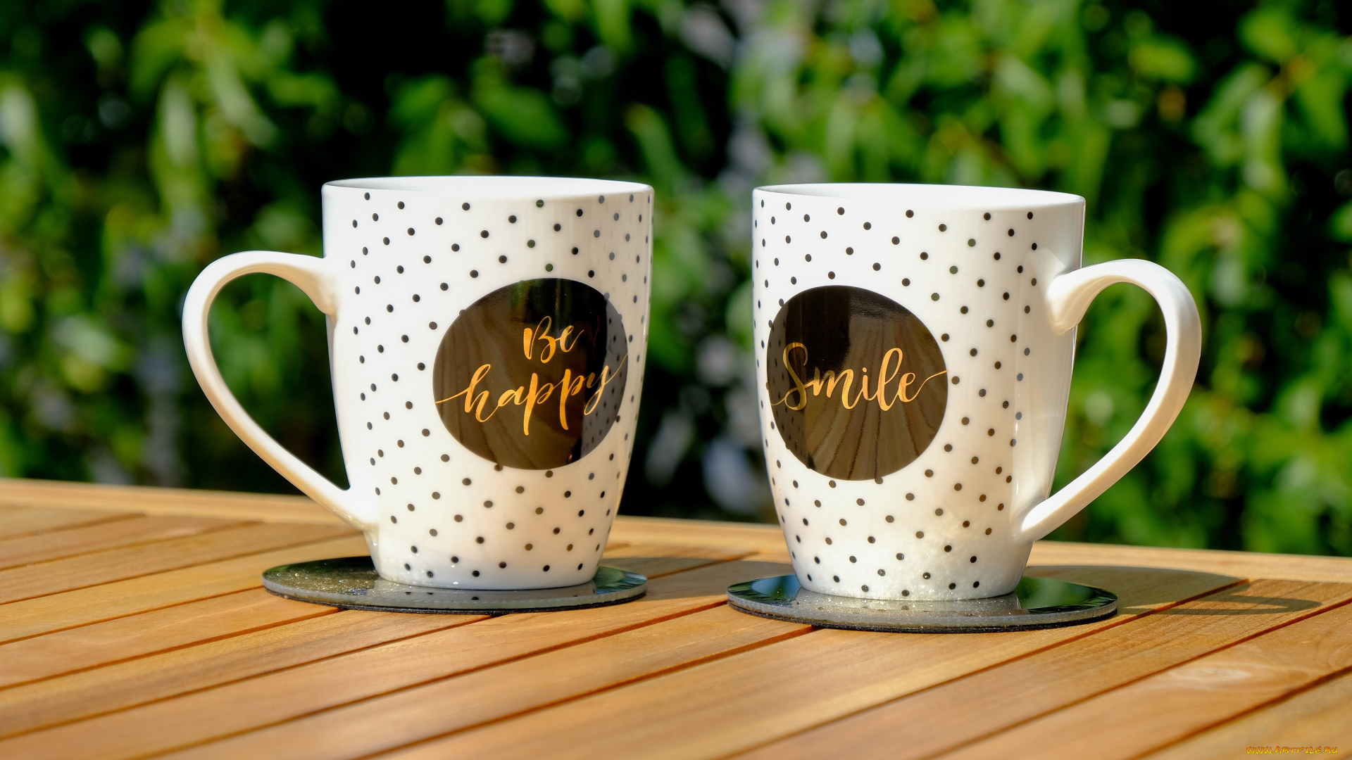 разное, надписи, , логотипы, , знаки, надпись, кружки, две