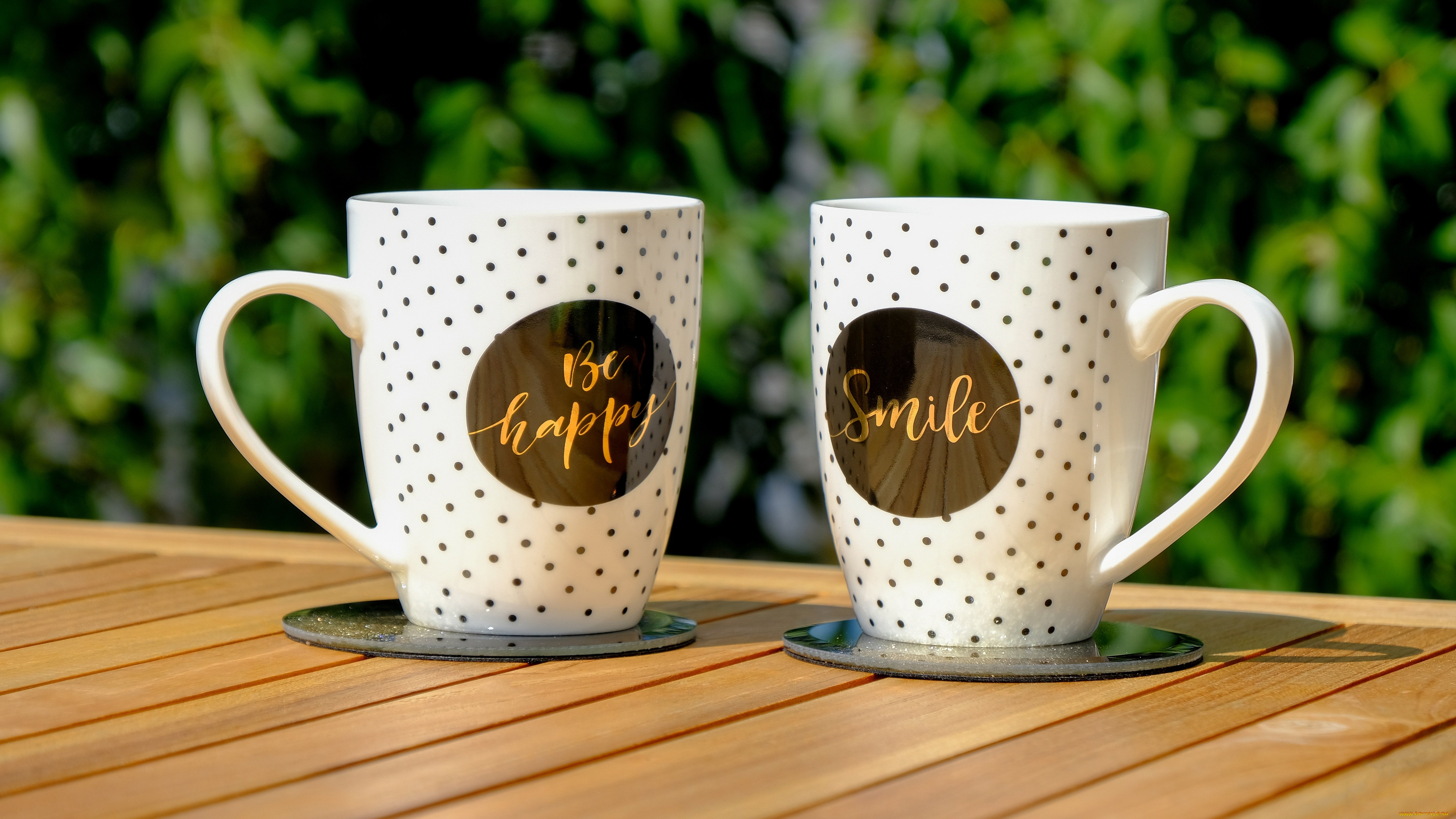 разное, надписи, , логотипы, , знаки, надпись, кружки, две