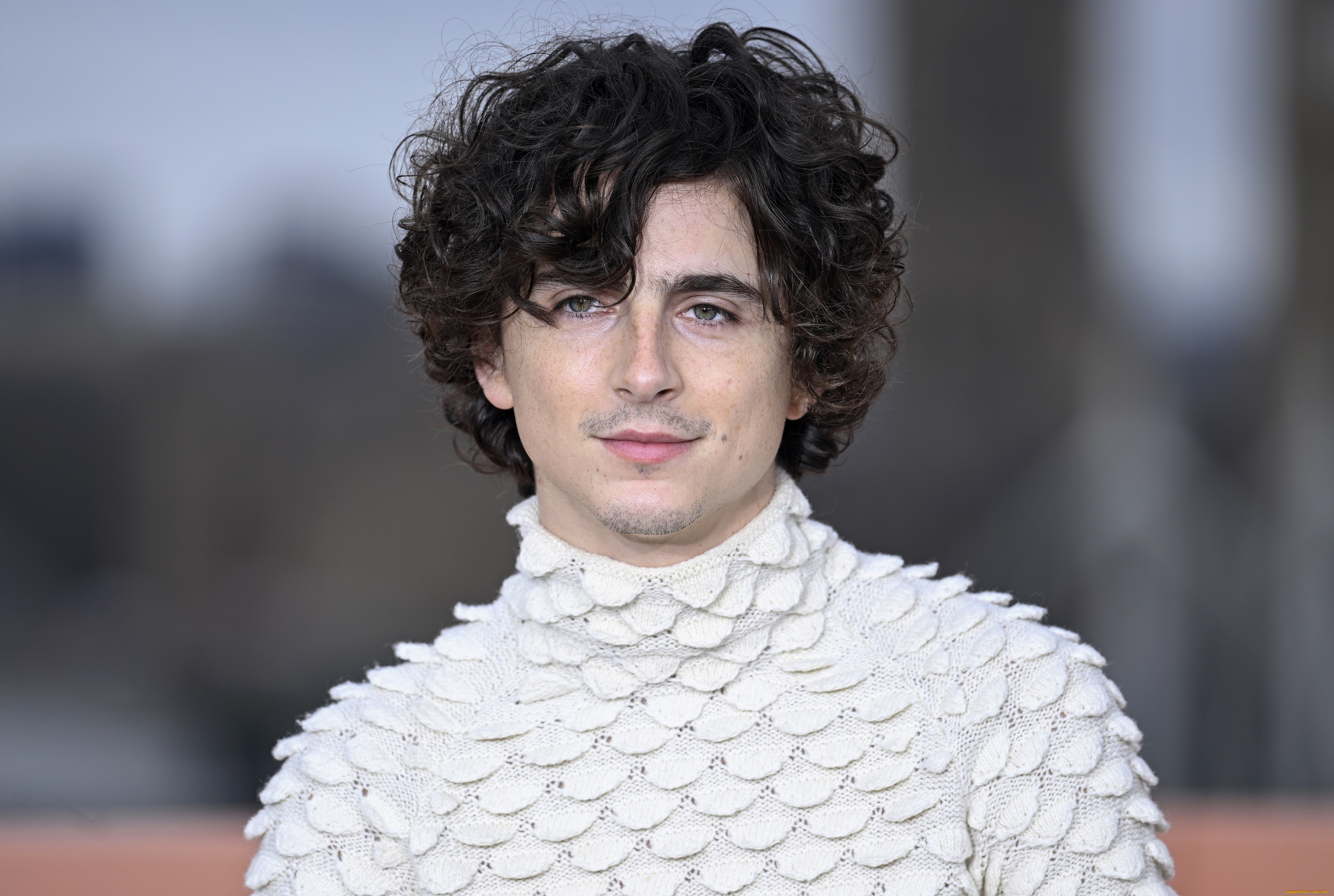 мужчины, timothee, chalamet, актер, свитер