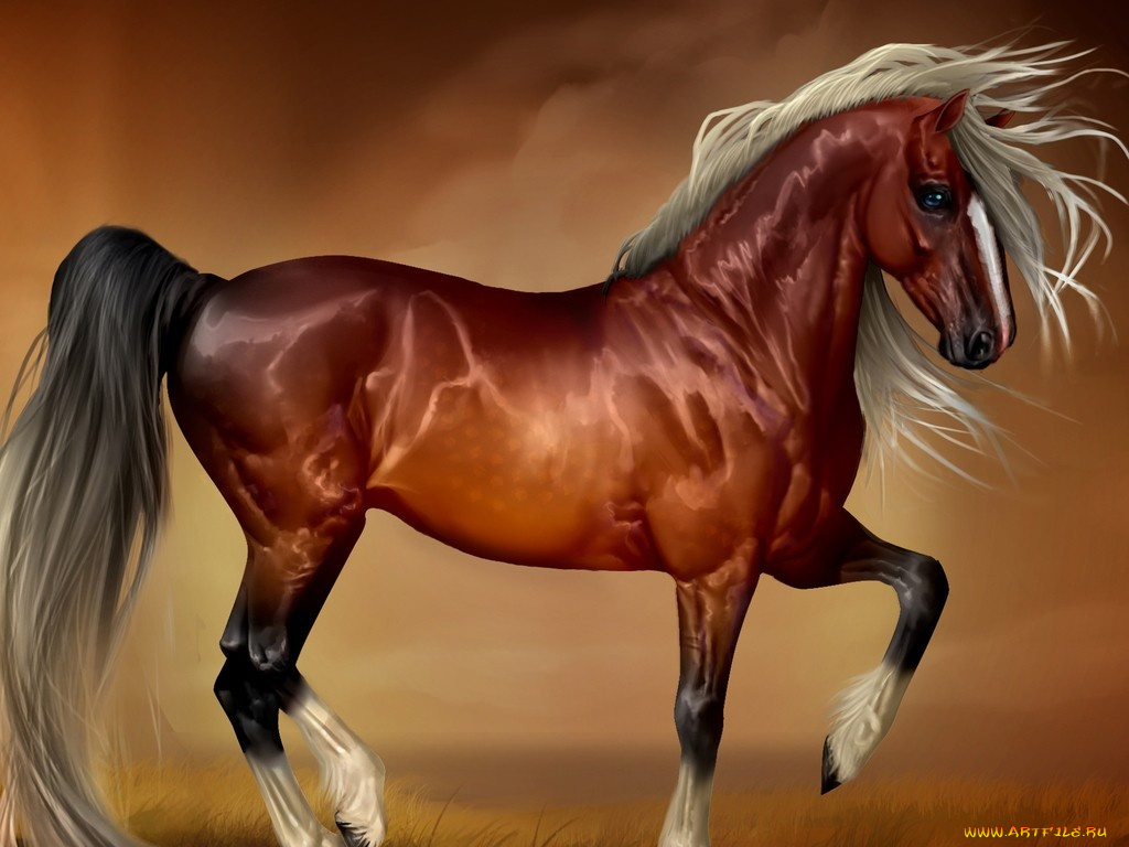 рисованные, животные