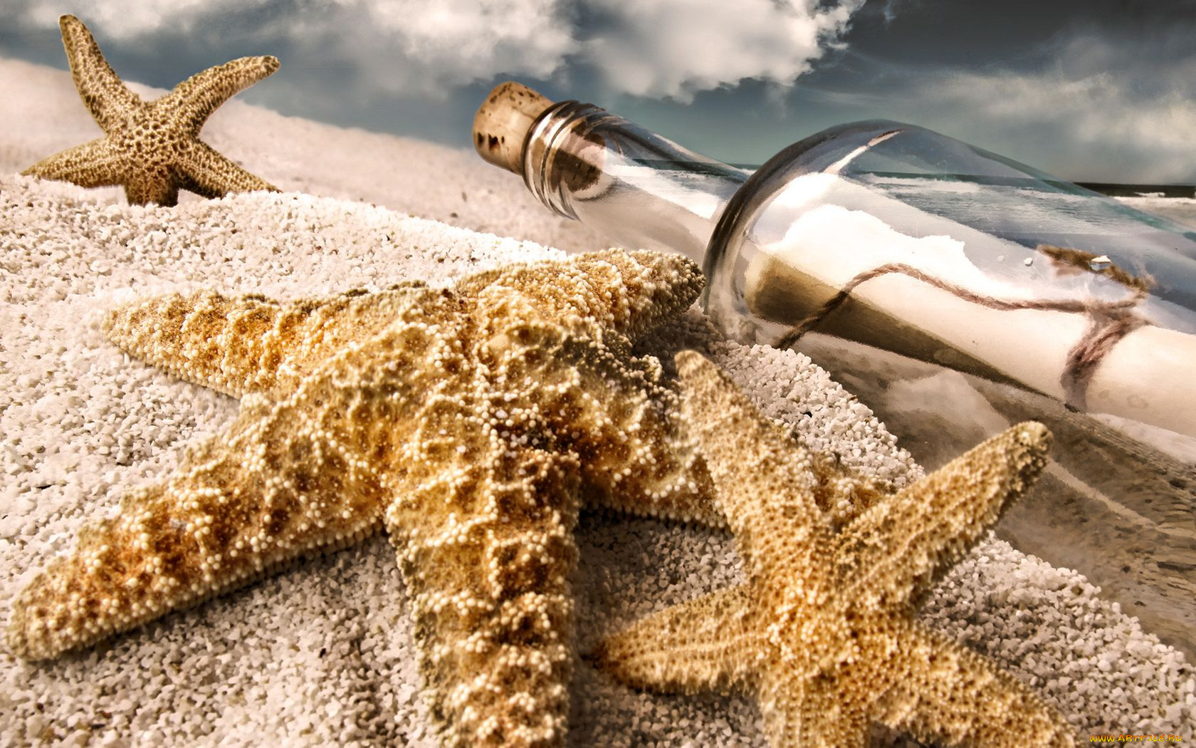 разное, ракушки, кораллы, декоративные, spa, камни