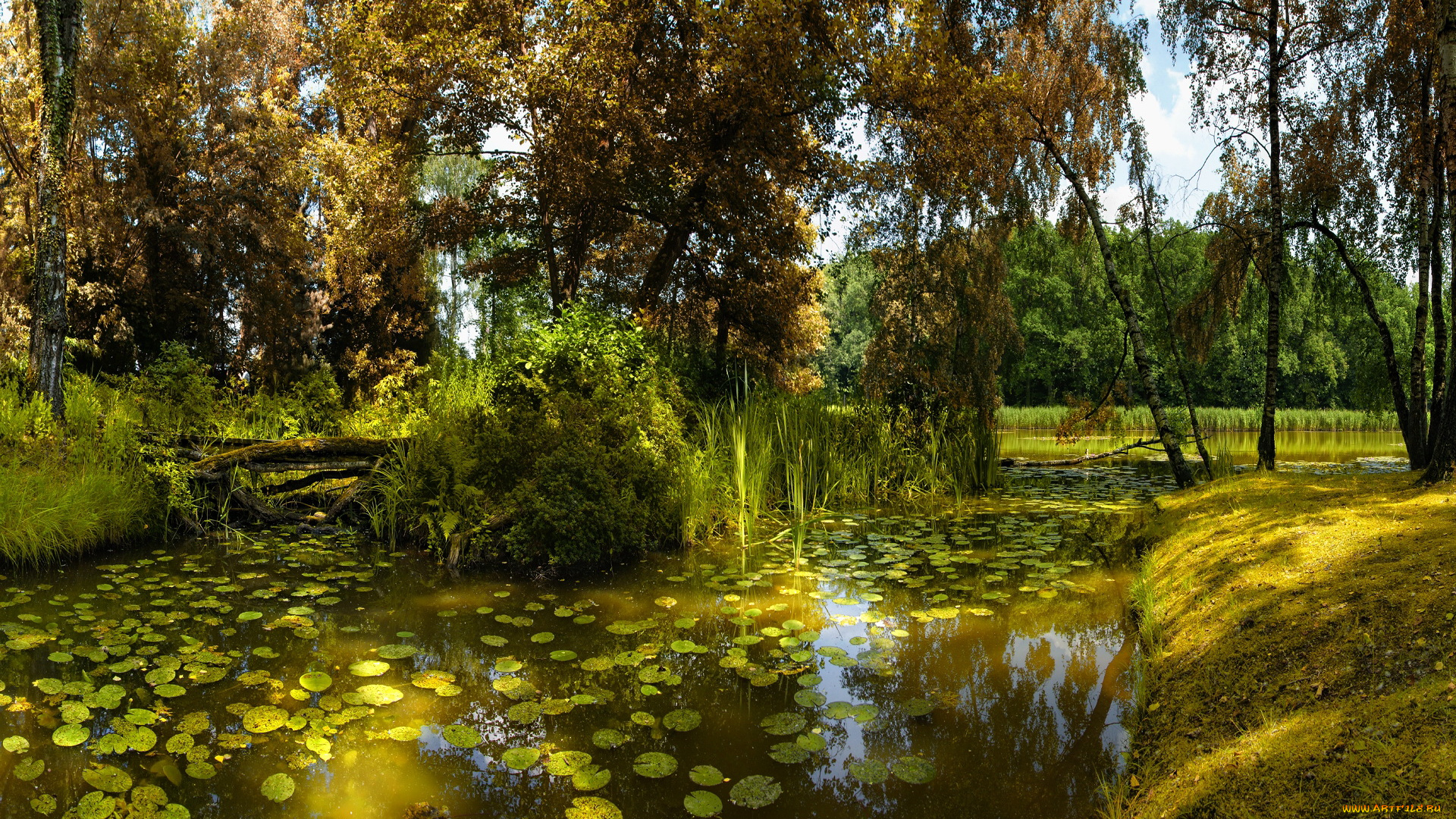 природа, реки, озера