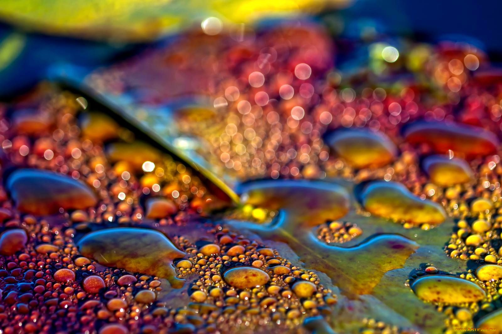 разное, капли, брызги, всплески, лист