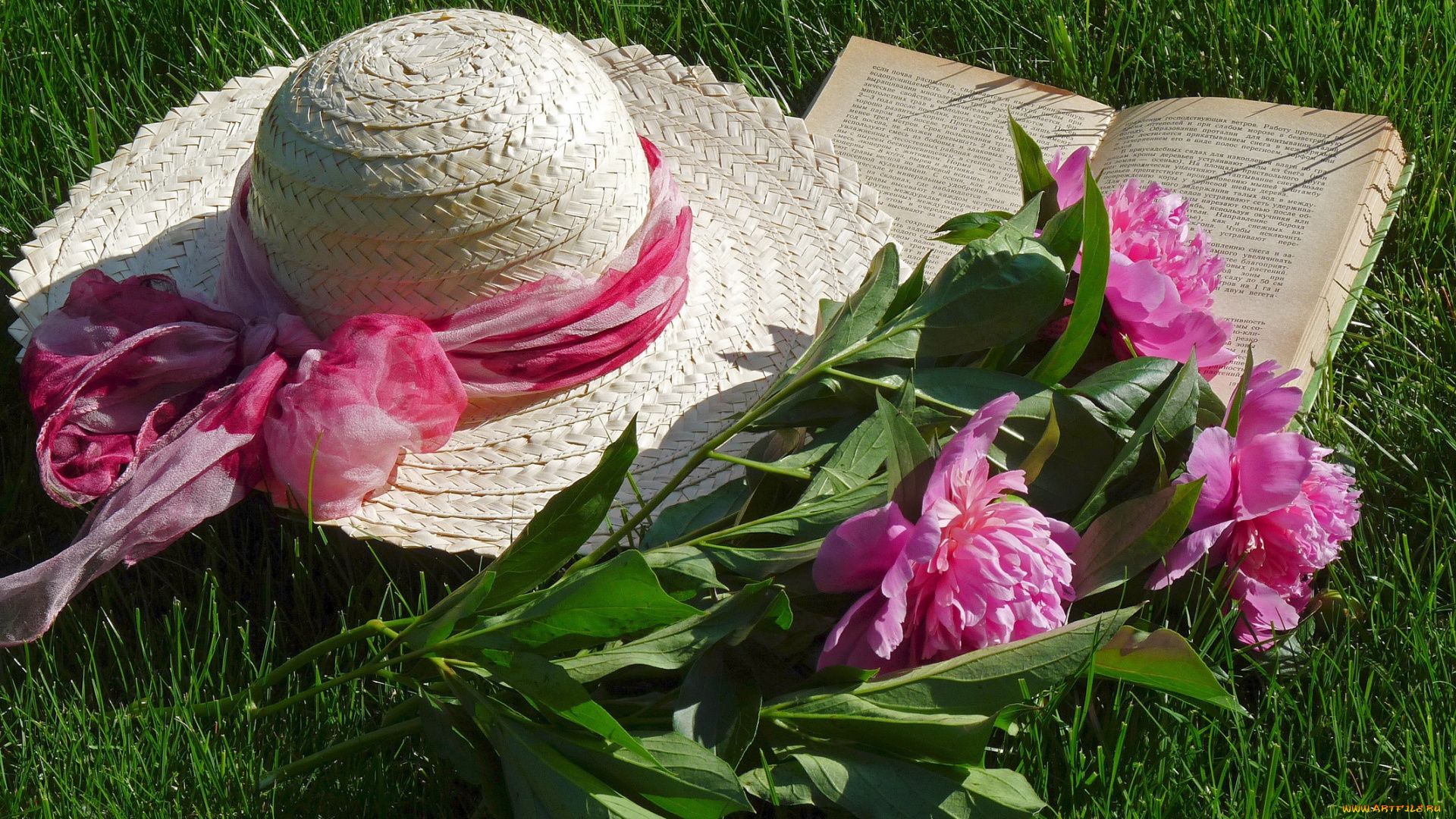цветы, пионы, шляпка, книга
