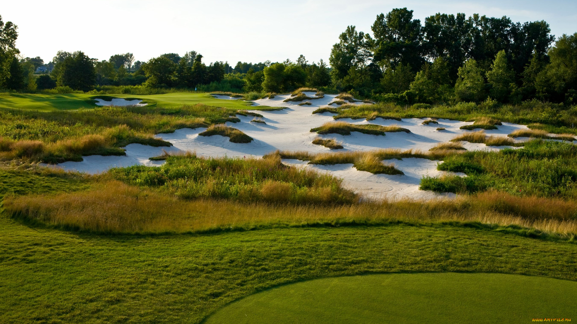 природа, другое, лужайка