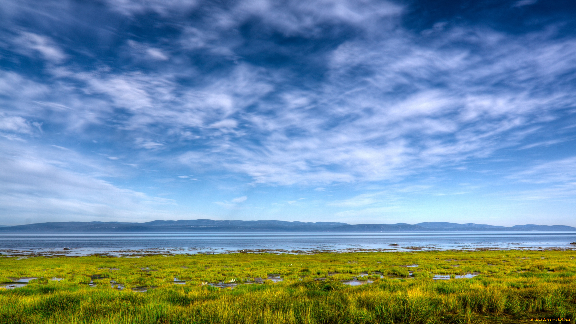 природа, облака, трава, поле, небо