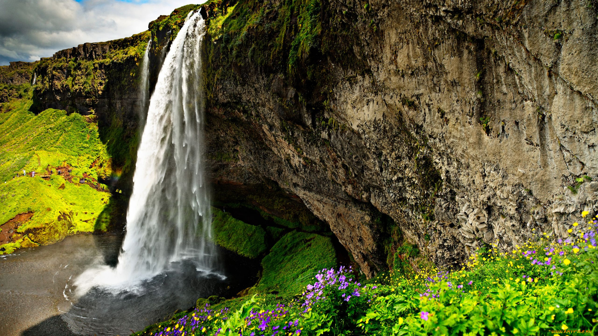 природа, водопады, цветы, скала