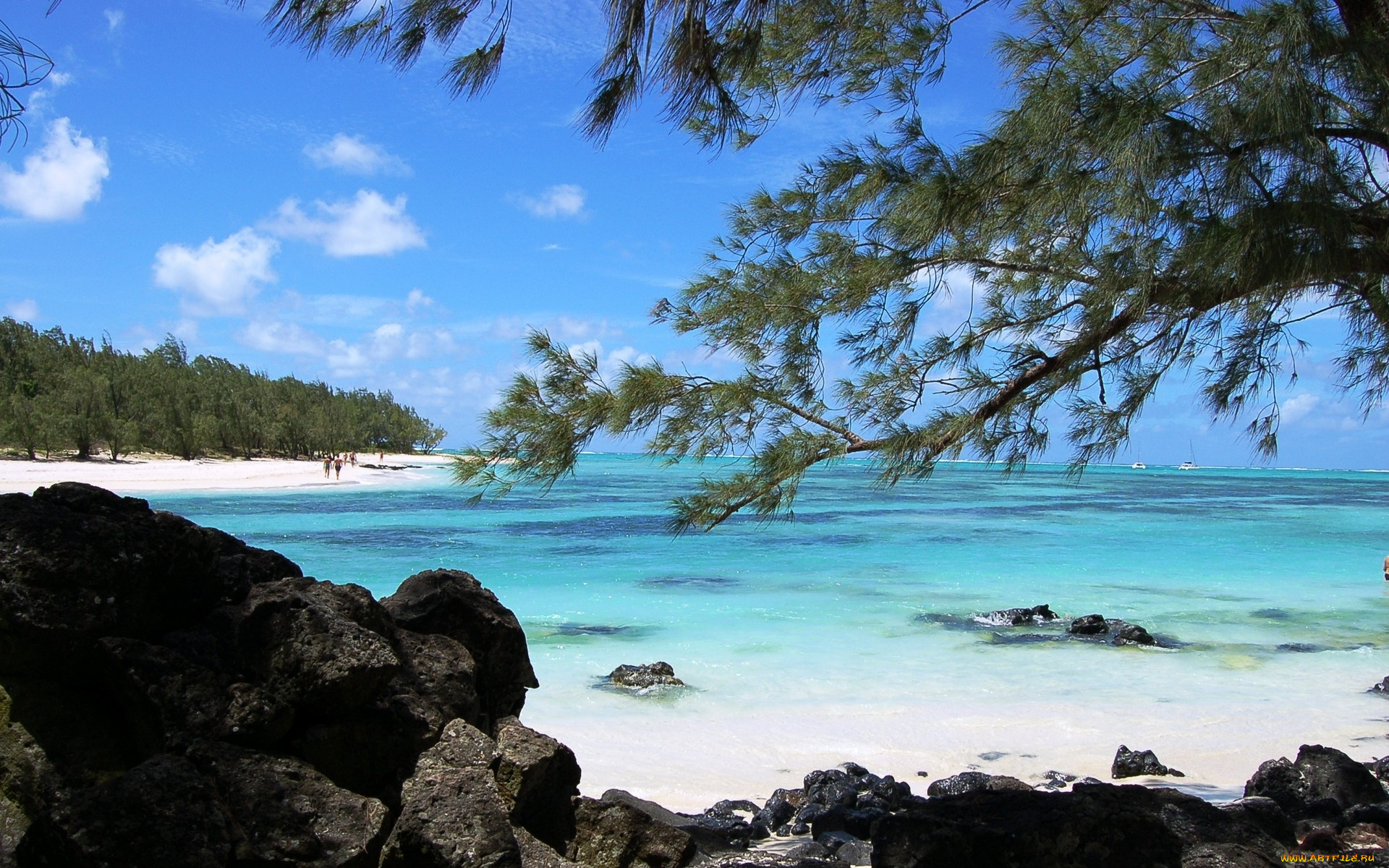 природа, побережье, берег, камни, море