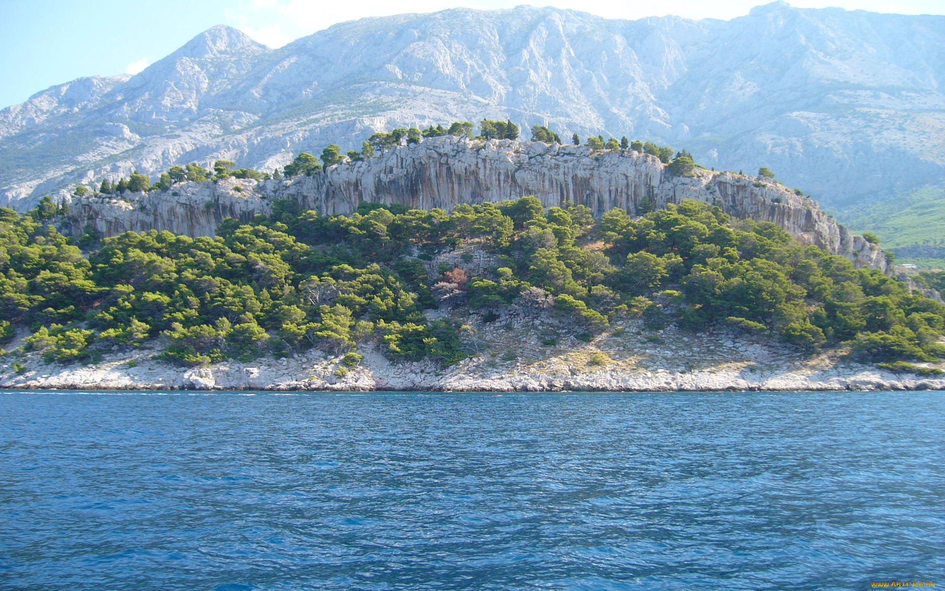 природа, побережье, деревья, горы