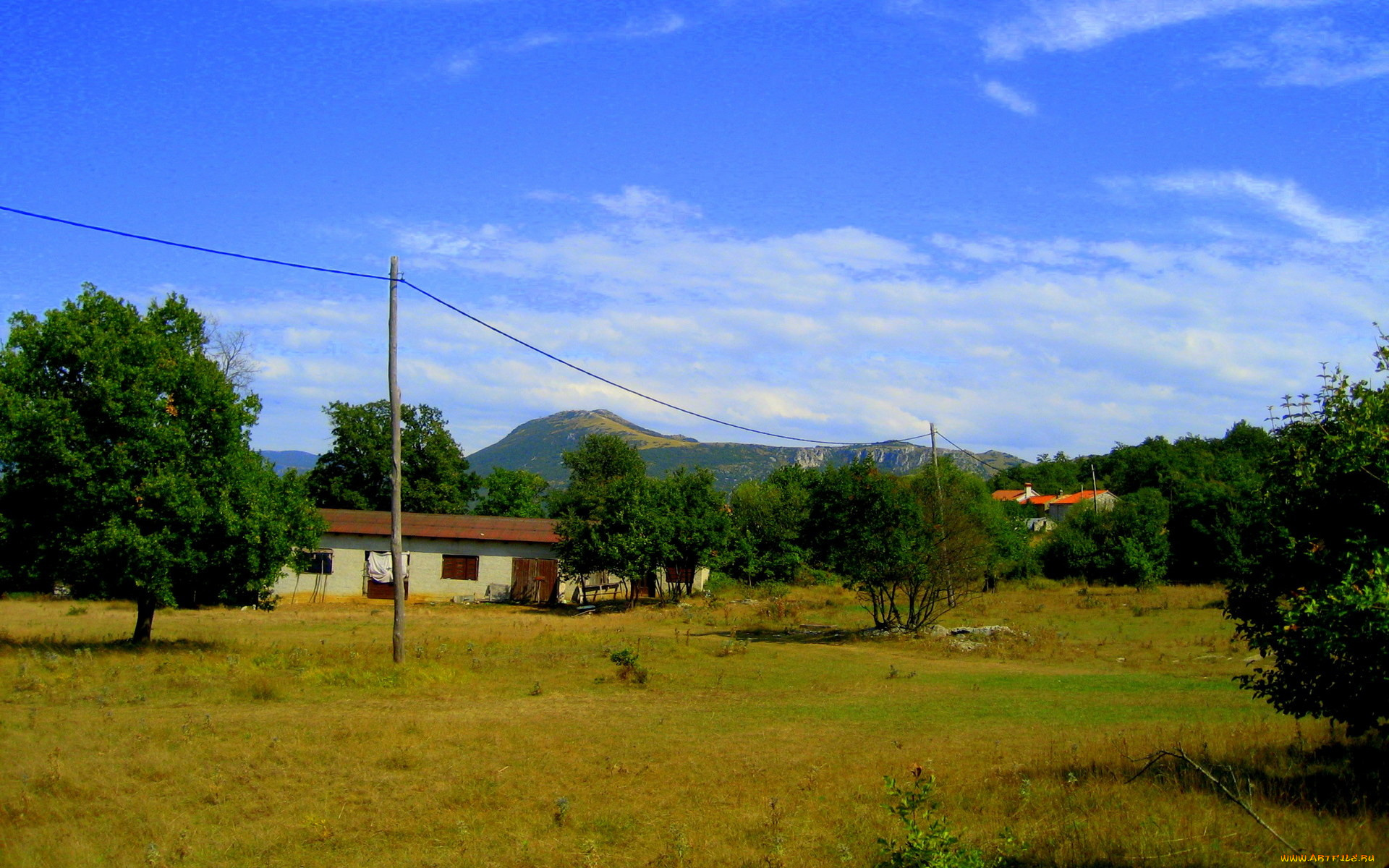 разное, сооружения, постройки, дом, деревья, провода