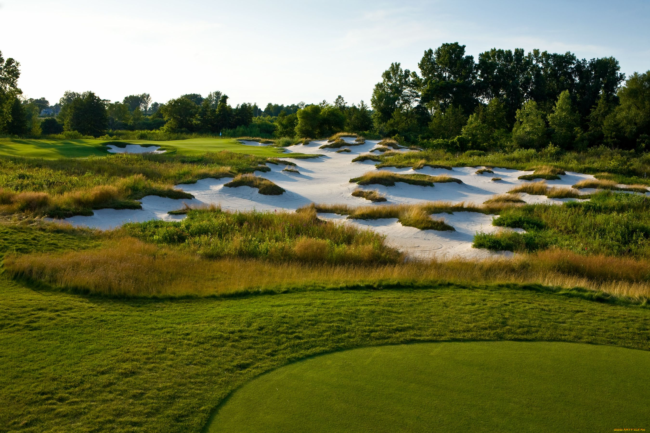 природа, другое, лужайка