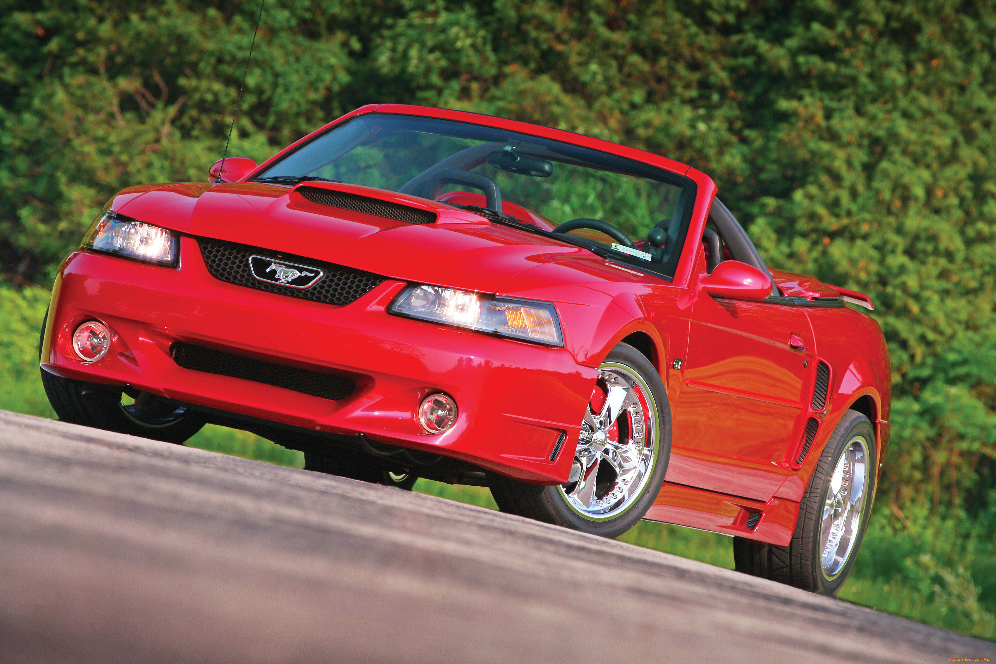 автомобили, mustang, auto