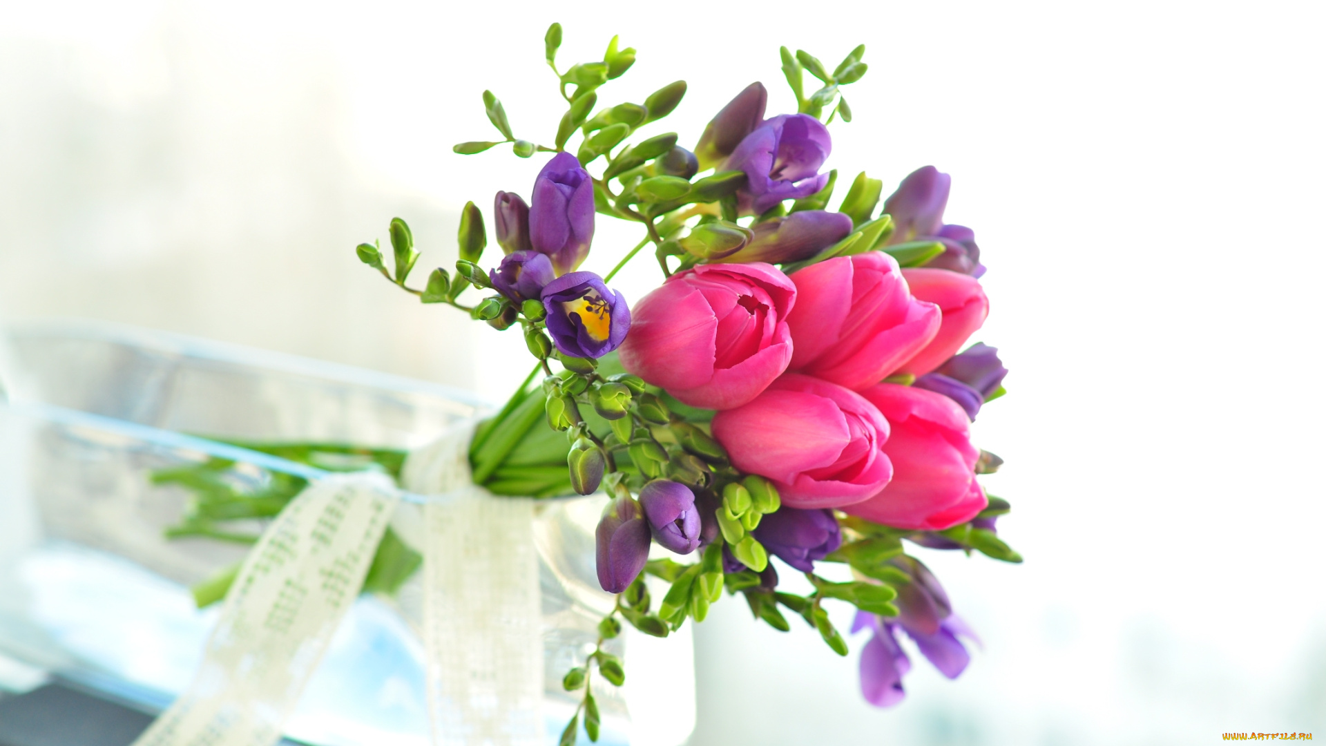 цветы, букеты, композиции, тюльпаны, фрезия