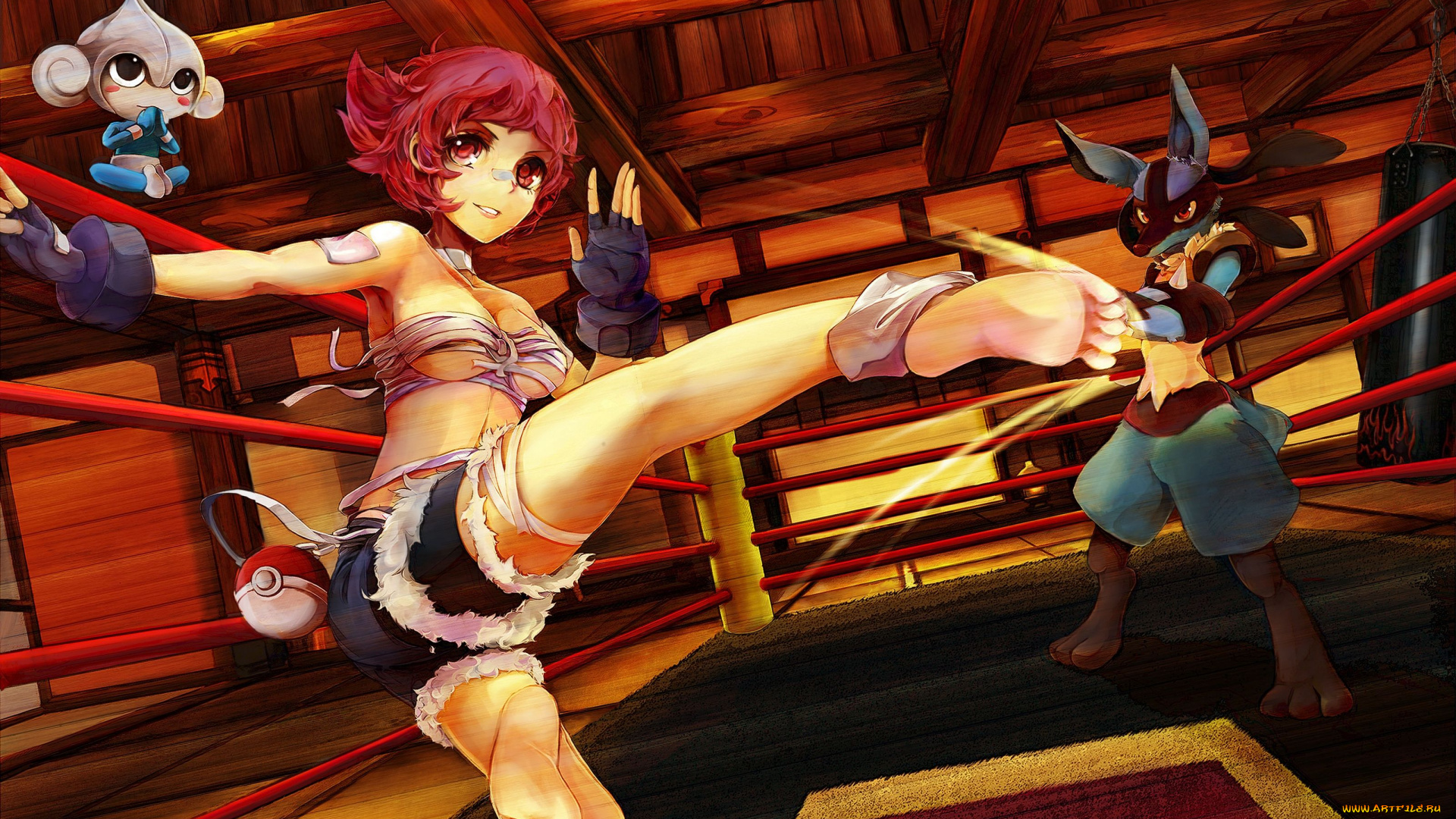 pokemon, аниме, ринг, sumomo