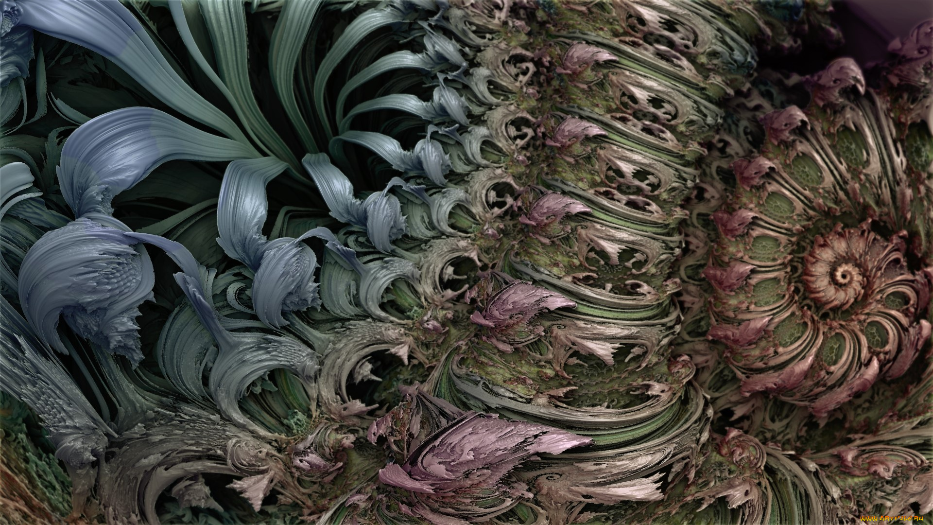 3д, графика, fractal, , фракталы, фон, цвета, узор