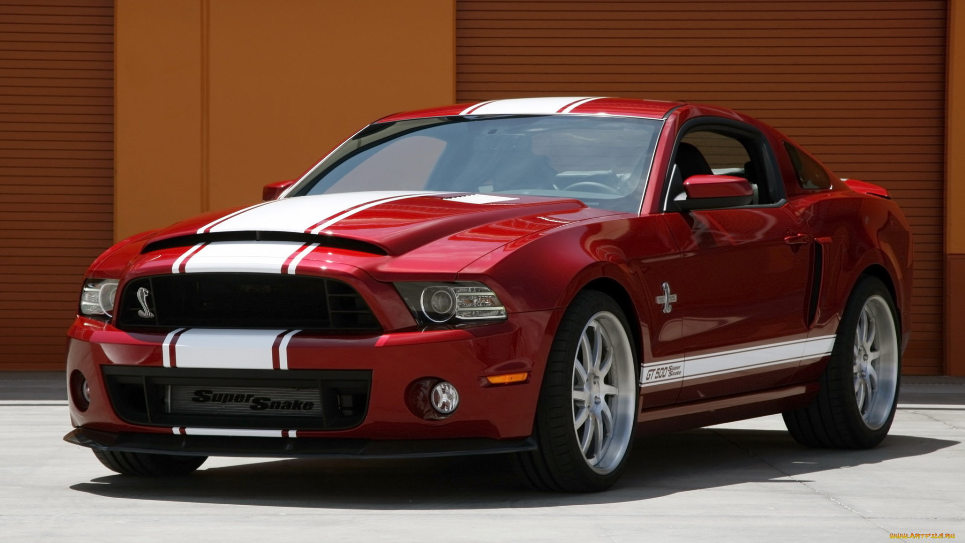 автомобили, mustang, gt500, shelby, snake, super, красный