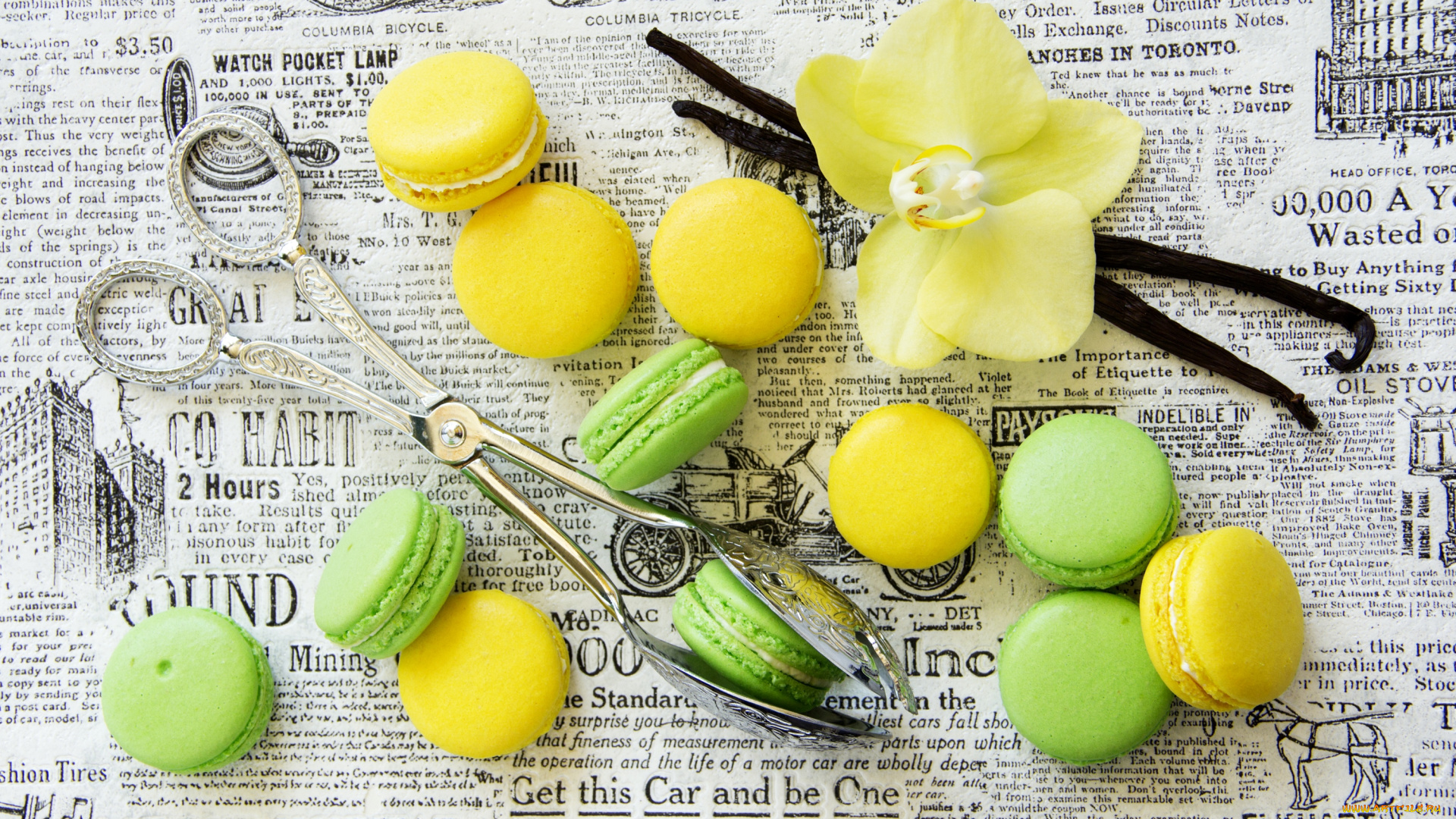 еда, -, макаруны, лимоны, газета, орхидея, лайм