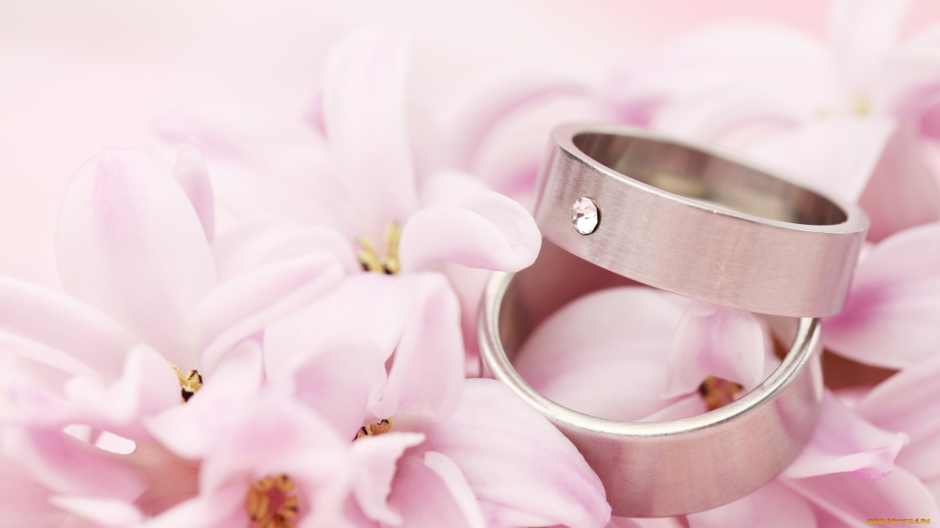 разное, украшения, , аксессуары, , веера, кольца, цветы