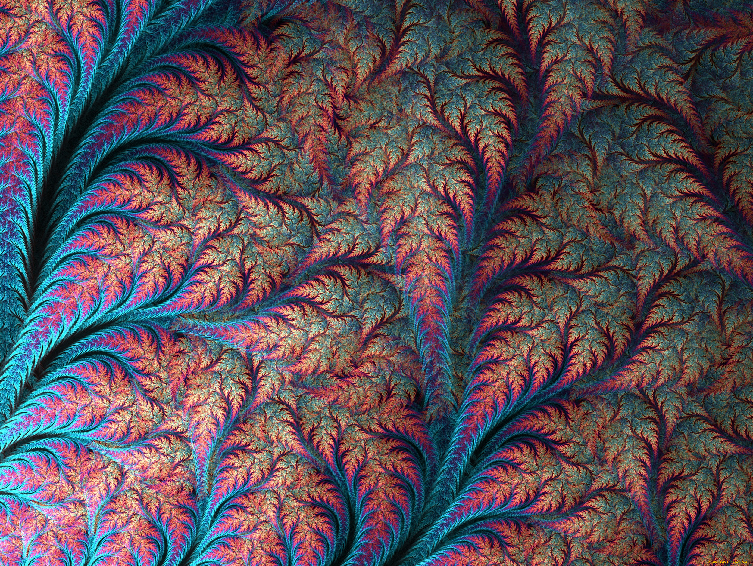 3д, графика, fractal, , фракталы, узор, фон, цвета