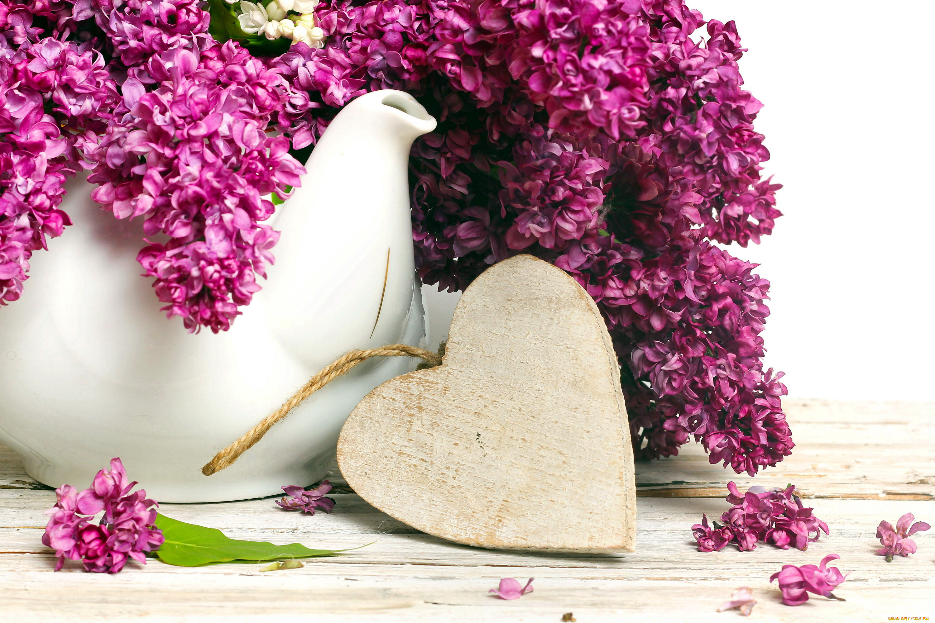 цветы, сирень, сиреневый, сердечко