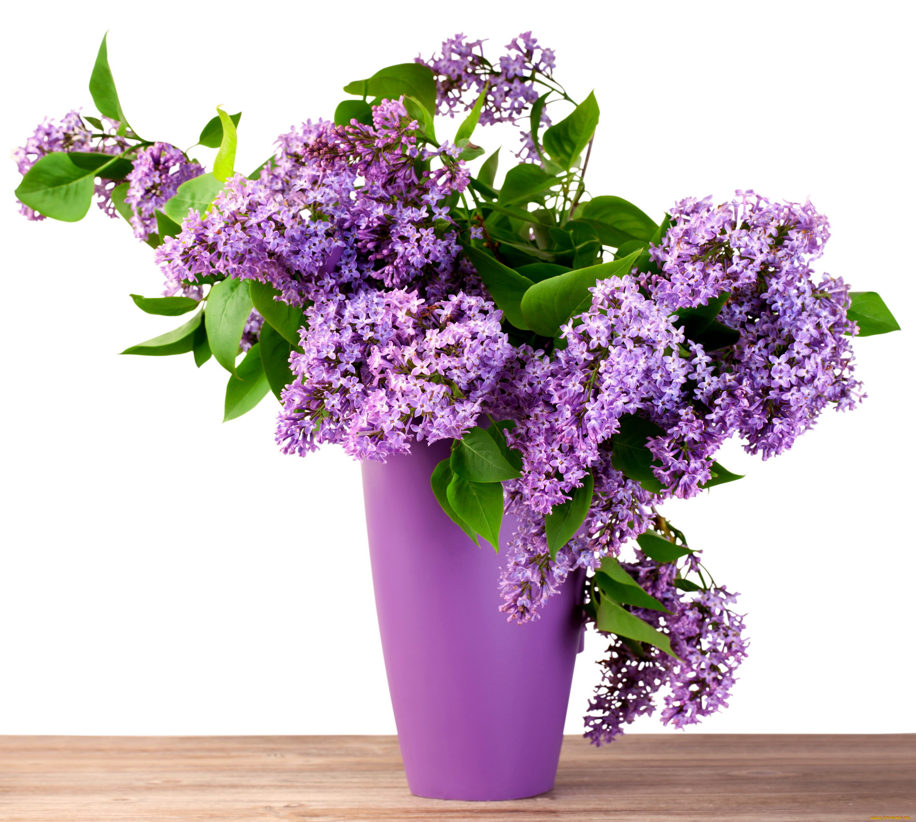 цветы, сирень, букет, сиреневый, ваза