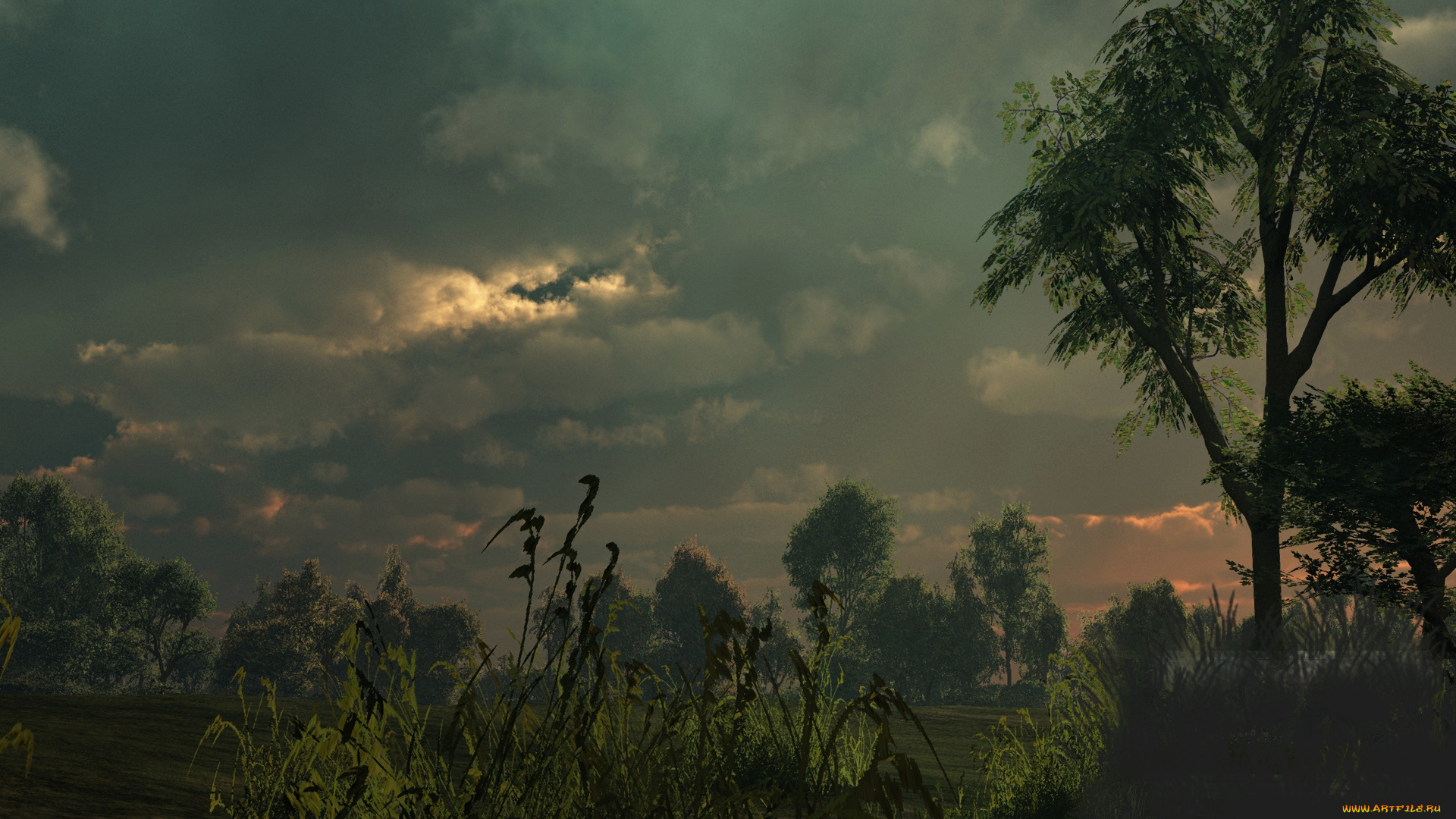 3д, графика, природа, , nature, облако, небо, деревья